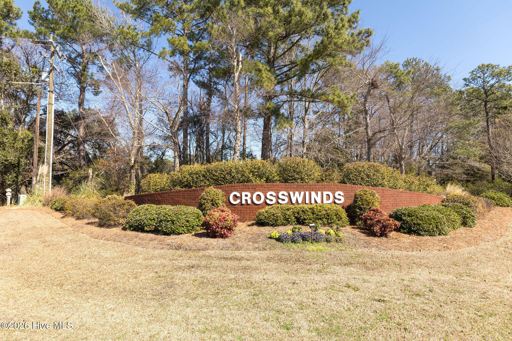 100556784 | Photo 57