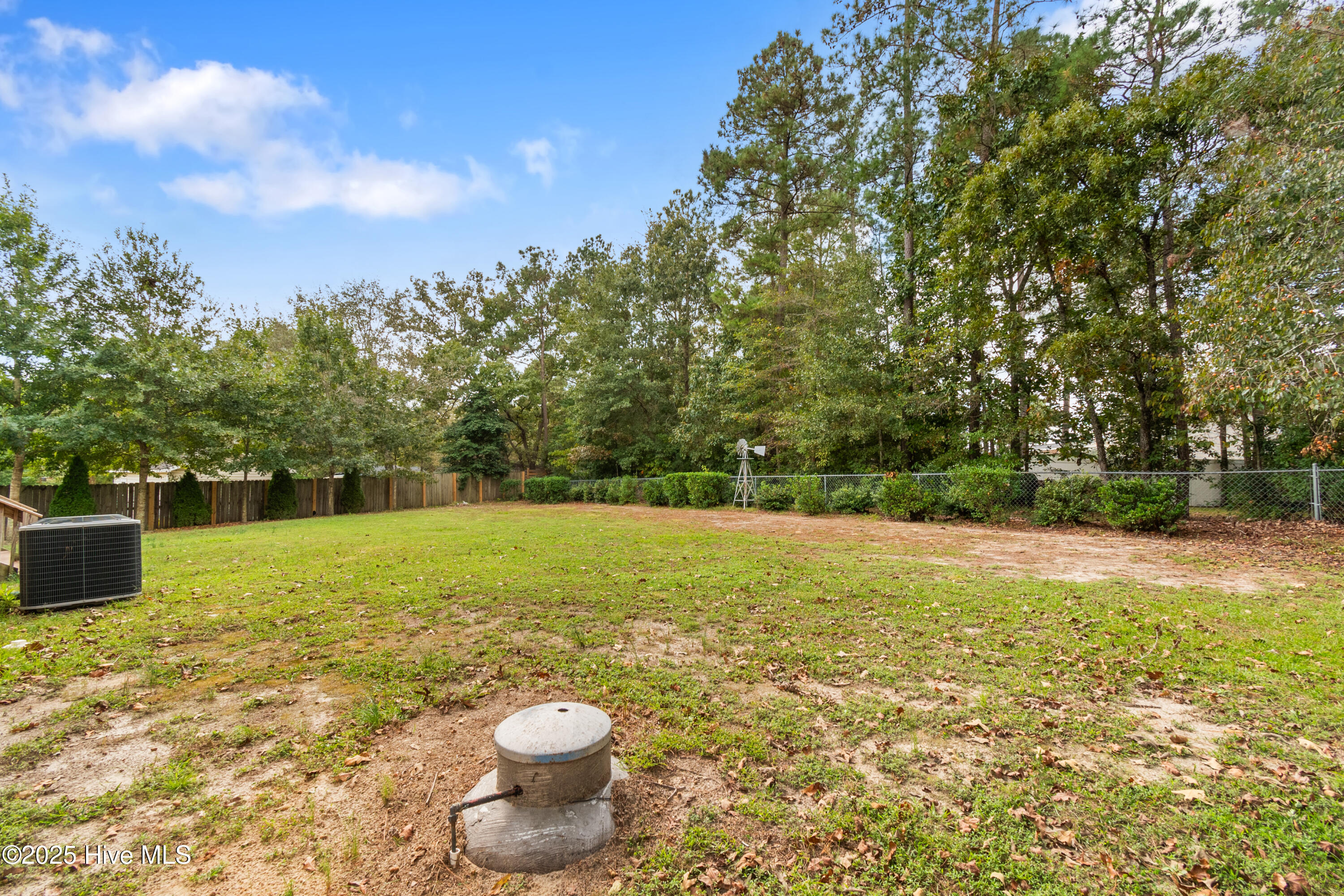 100532491 | Photo 36