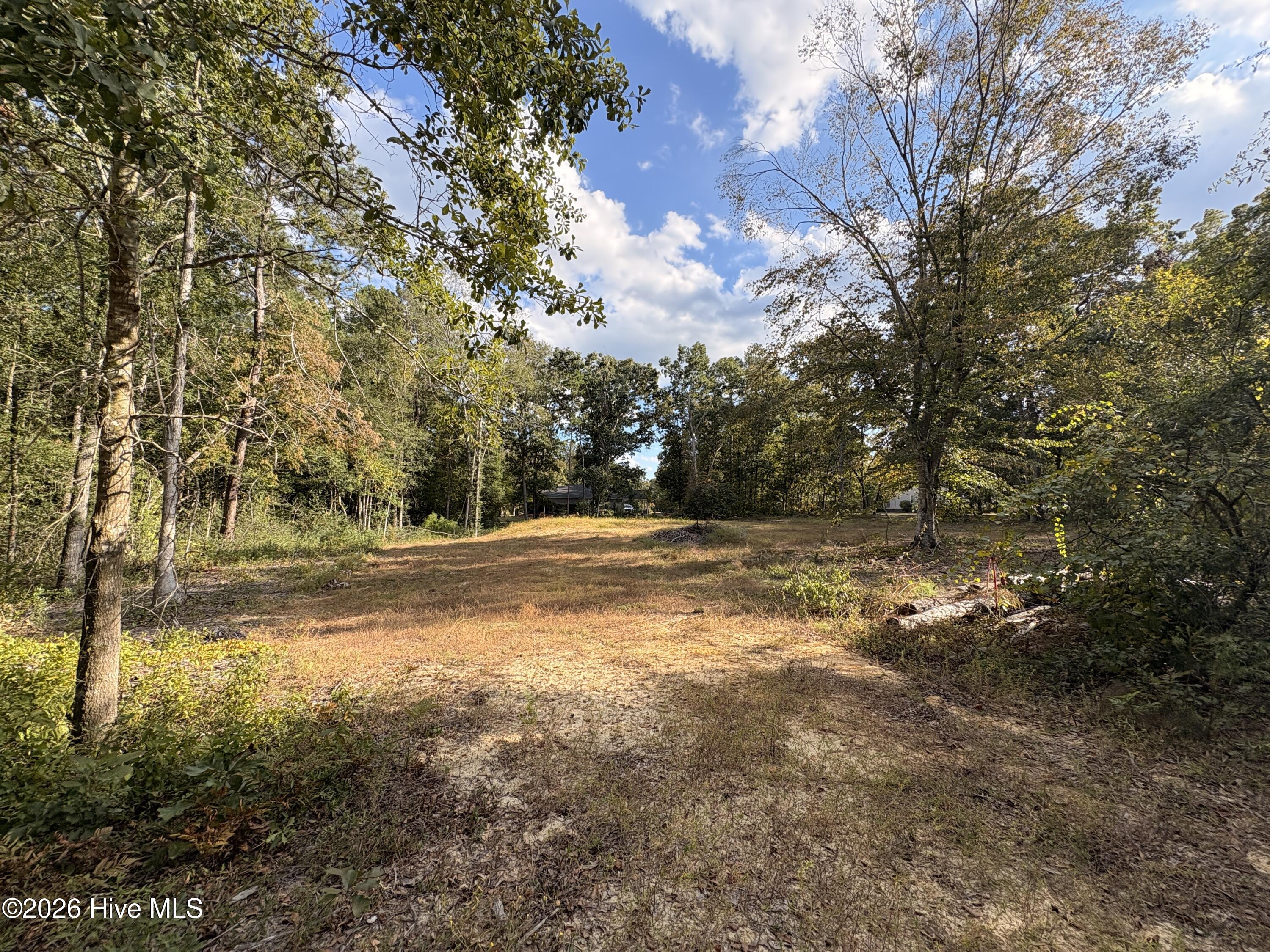 Photo 3 of Land for sale at 209 Oak Dr, Elizabethtown, NC 28337 | MLS# 100608032 | Listing updated on 2026-10-07
