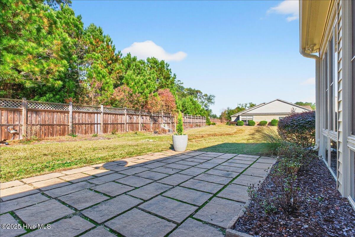 100541263 | Photo 48