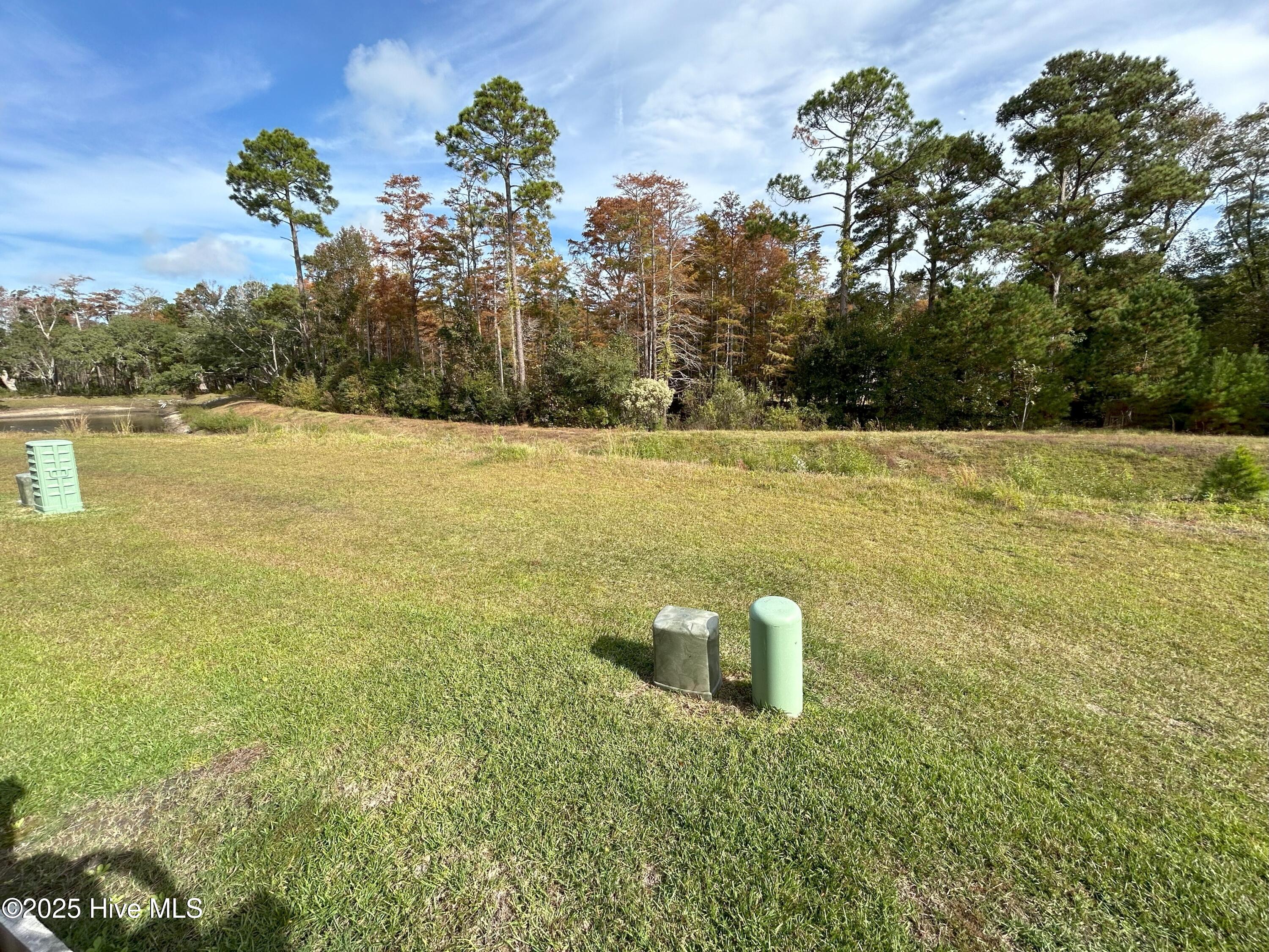 100541755 | Photo 28