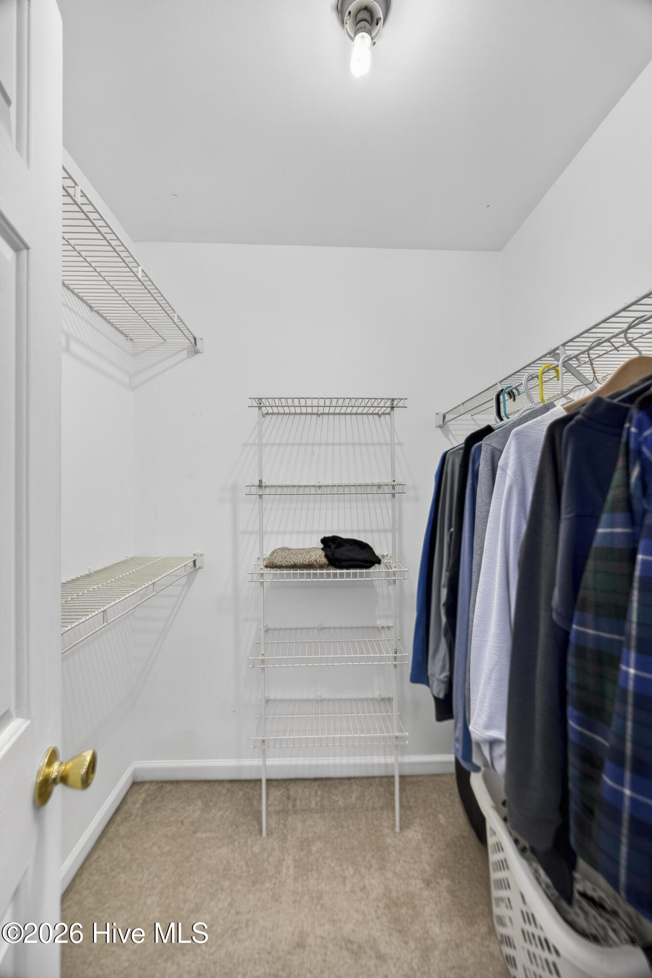 100550573 | Photo 31