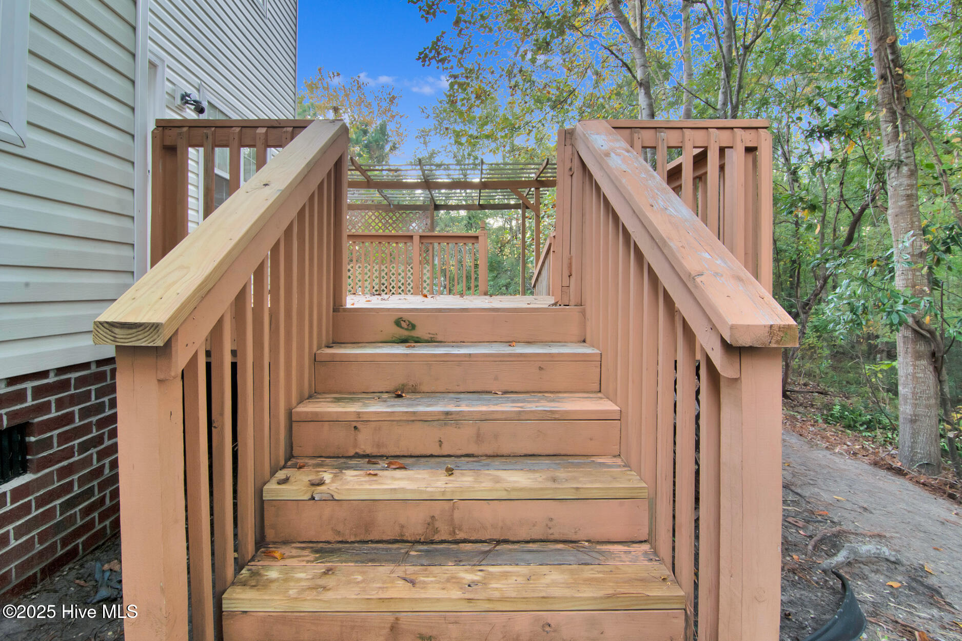 100539589 | Photo 31