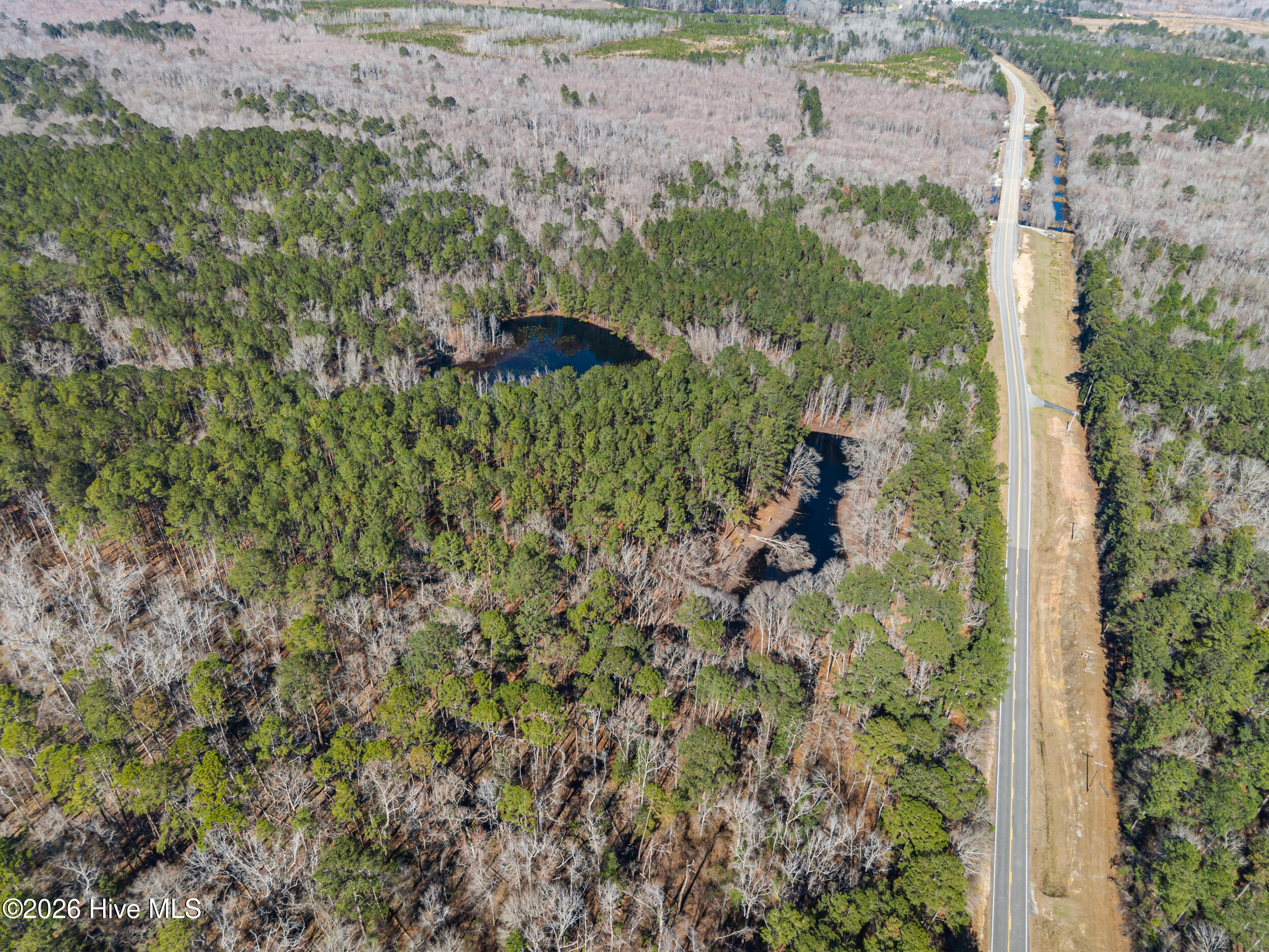 Photo 3 of Land for sale at 22701 Highway 129, Cobbtown, GA 30420 | MLS# 100603679 | Listing updated on 2026-09-15