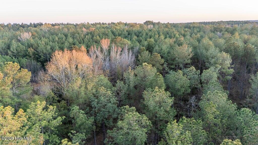 Photo 4 of Land for sale at 0 Barr Chapel Rd, Edgefield, SC 29824 | MLS# 100608765 | Listing updated on 2026-10-07
