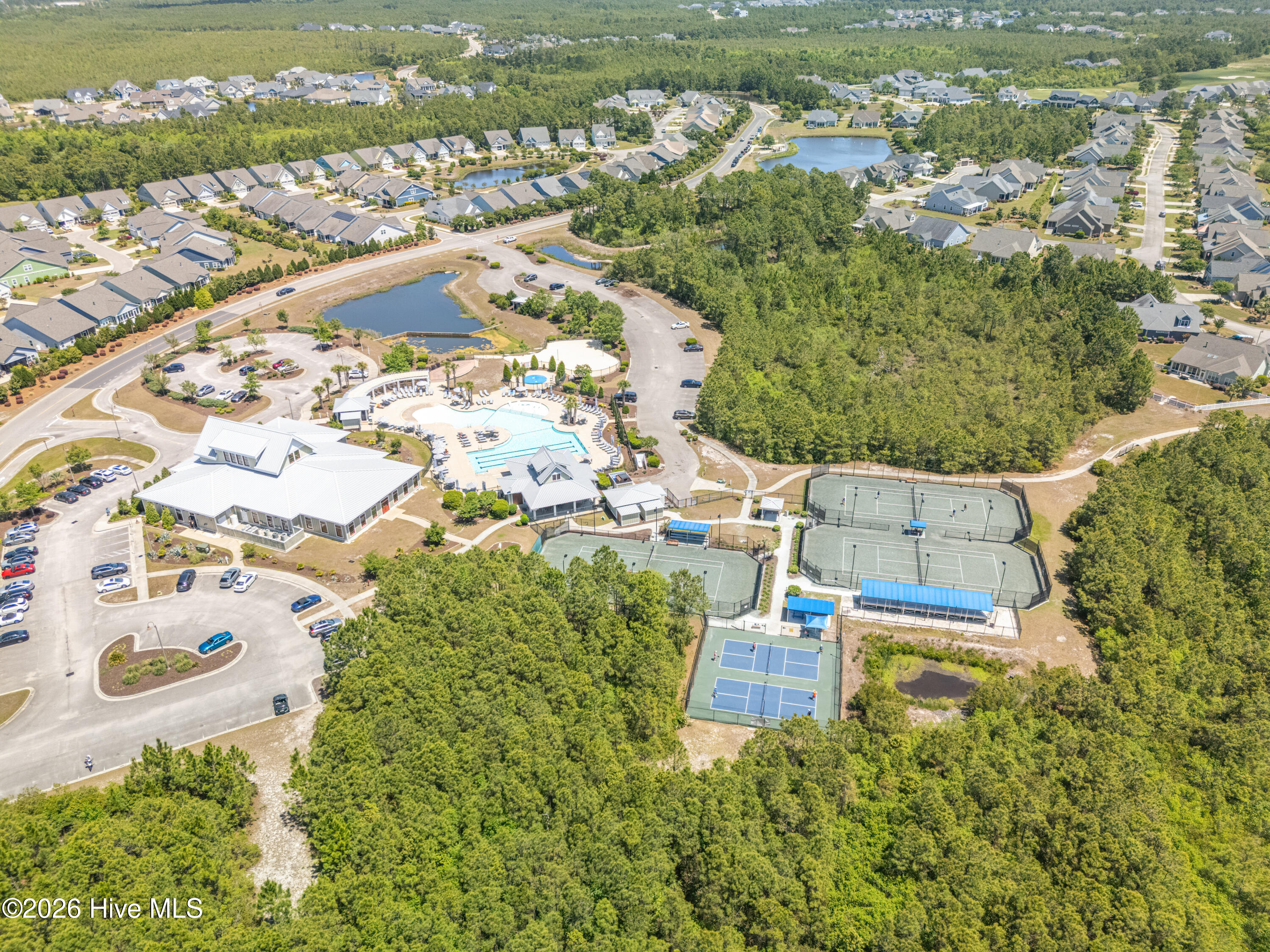 100560697 | Photo 101