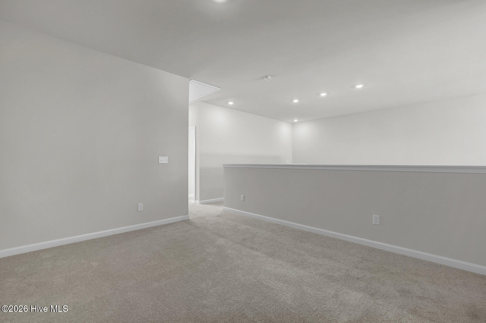 100538146 | Photo 19