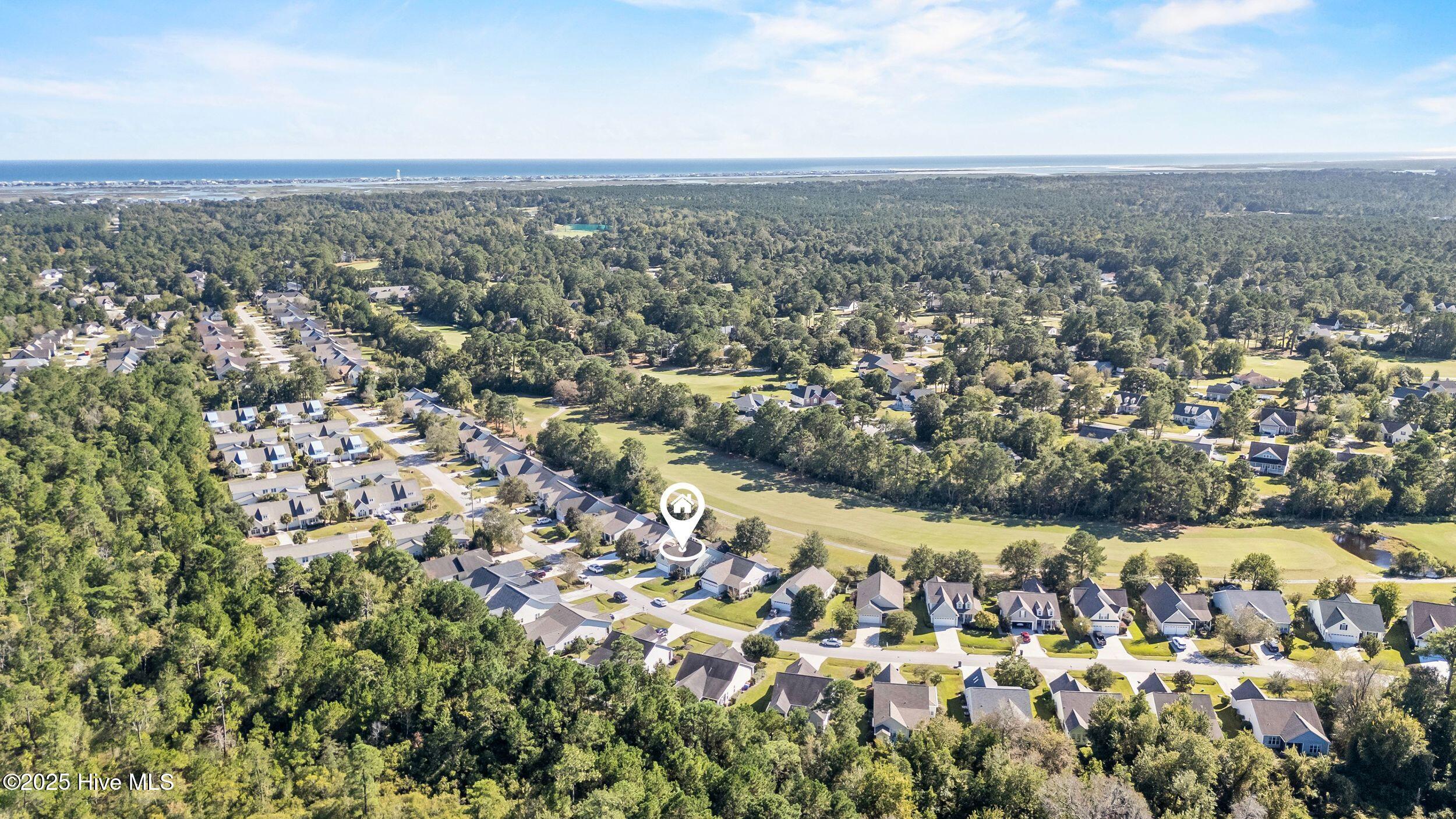 100535393 | Photo 45