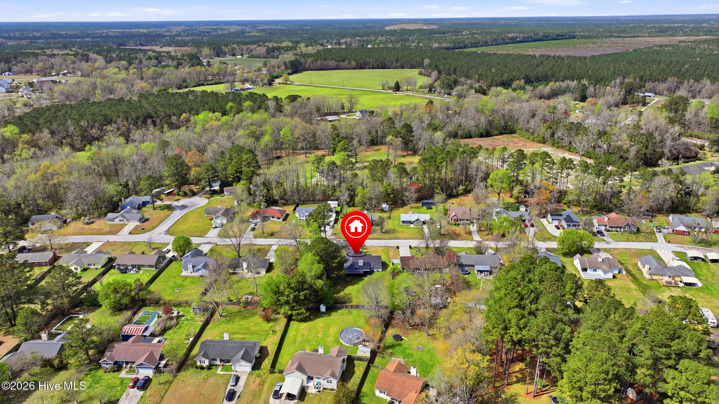 100562162 | Photo 37