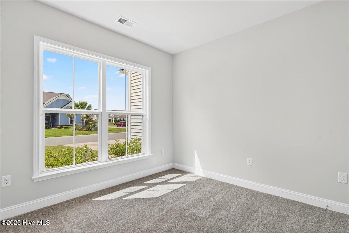 100532421 | Photo 26