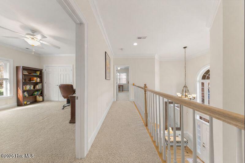 100548095 | Photo 41