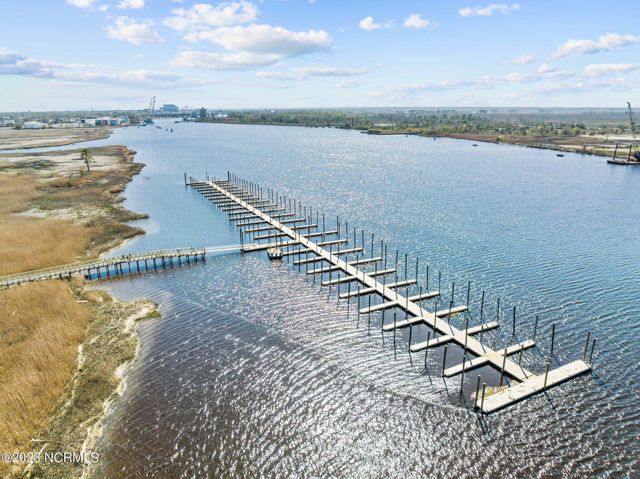 228 Preservation Point Avenue, Wilmington, NC, 28401