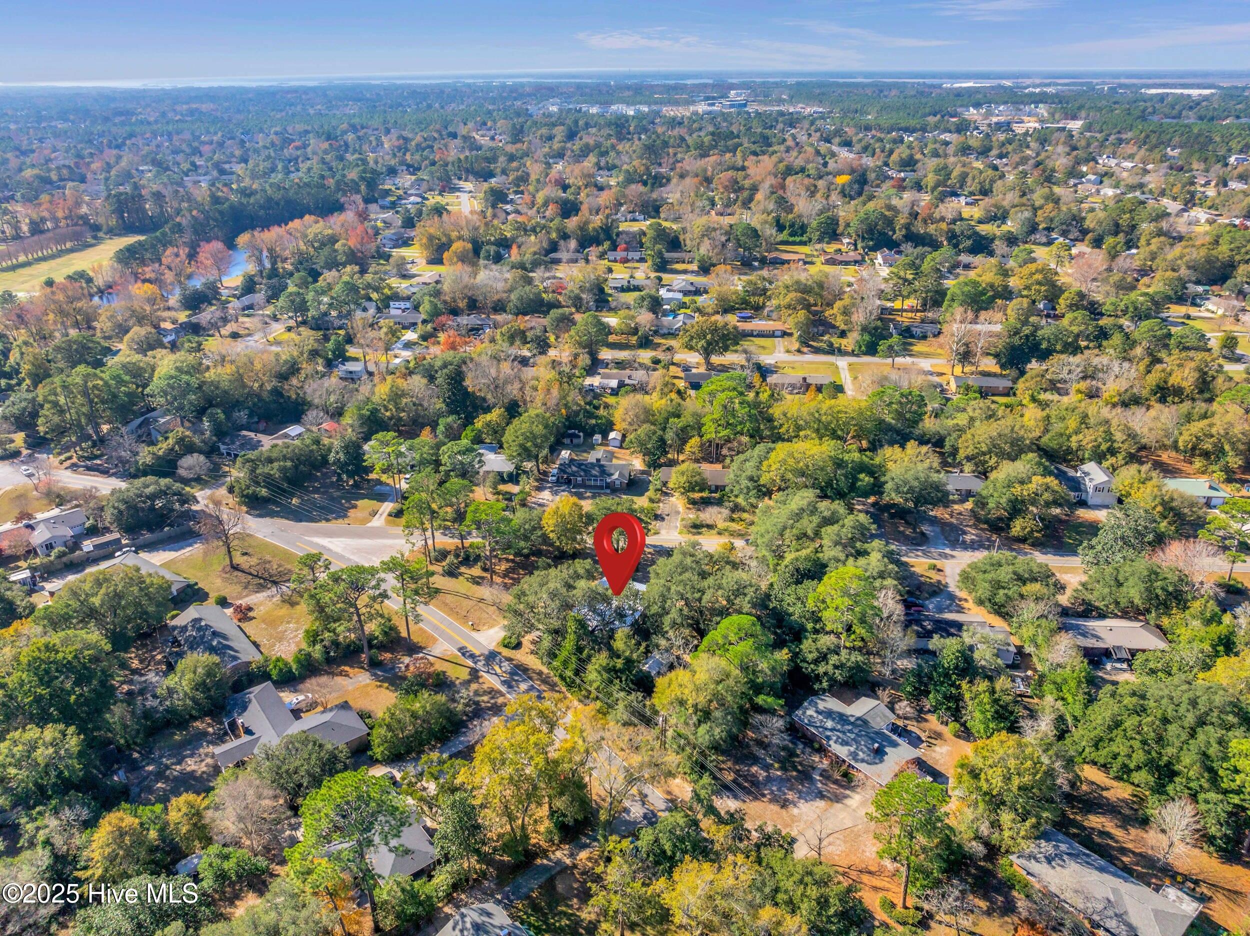 100532133 | Photo 52