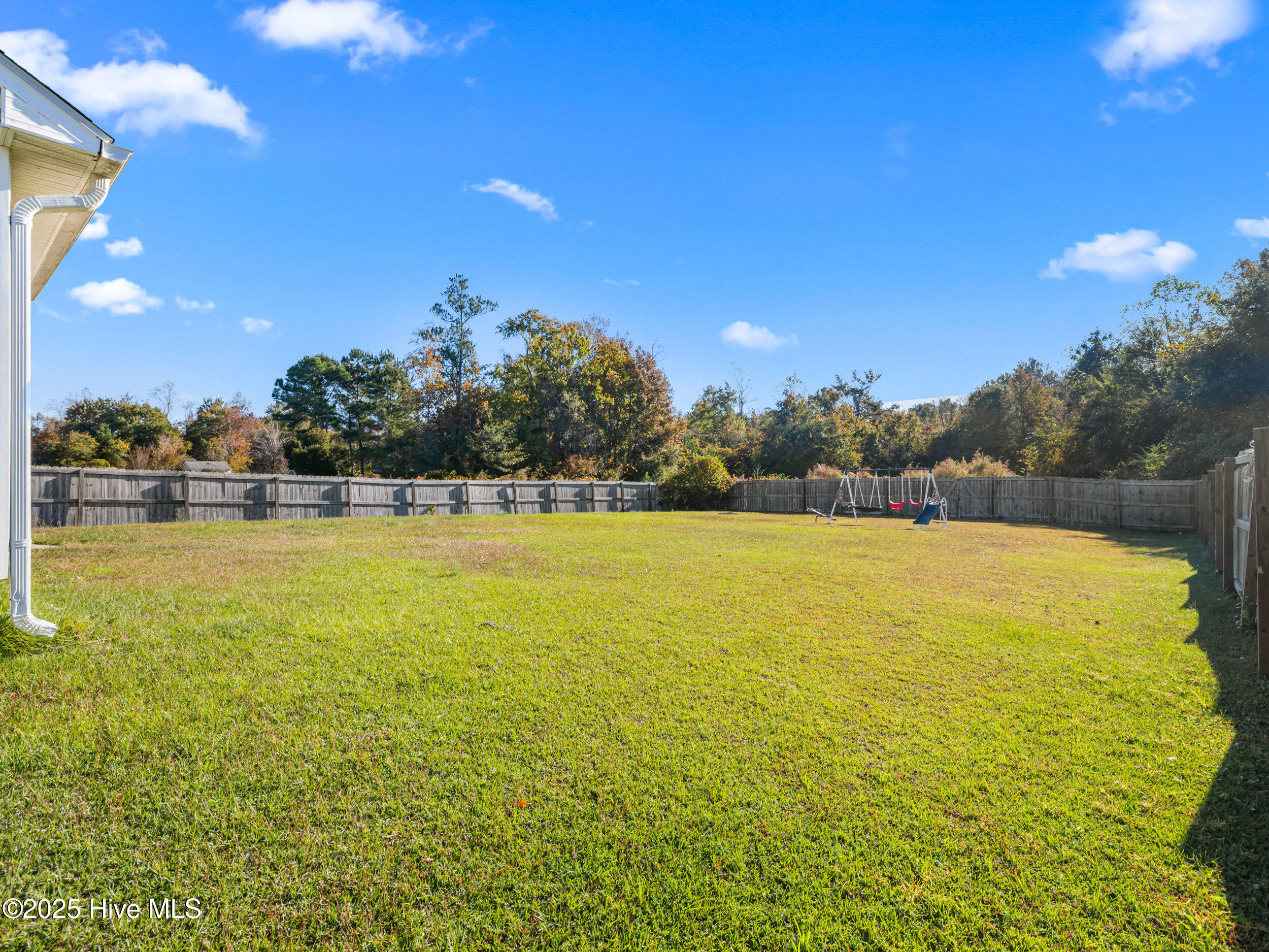 100536146 | Photo 30