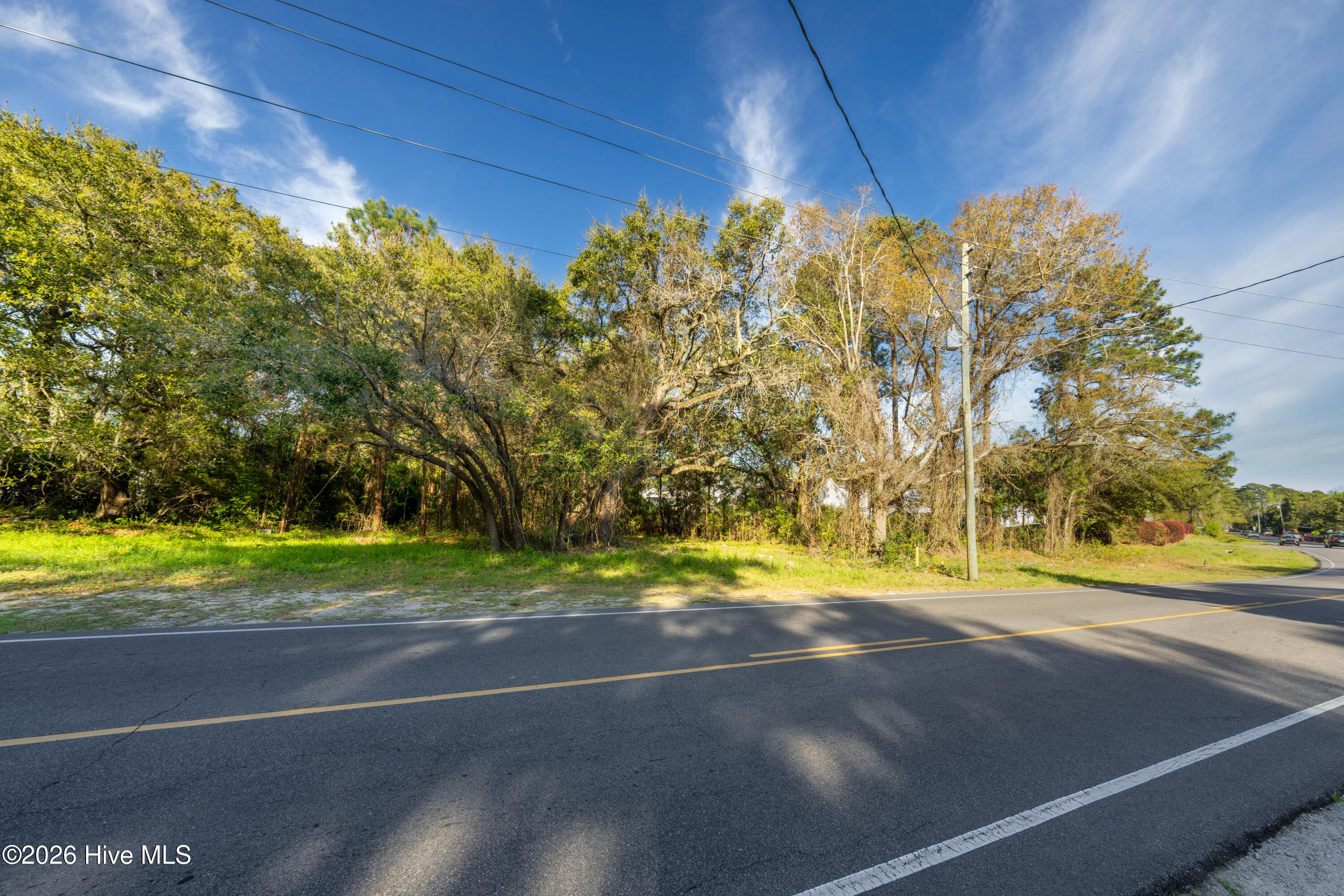 100565879 | Photo 14