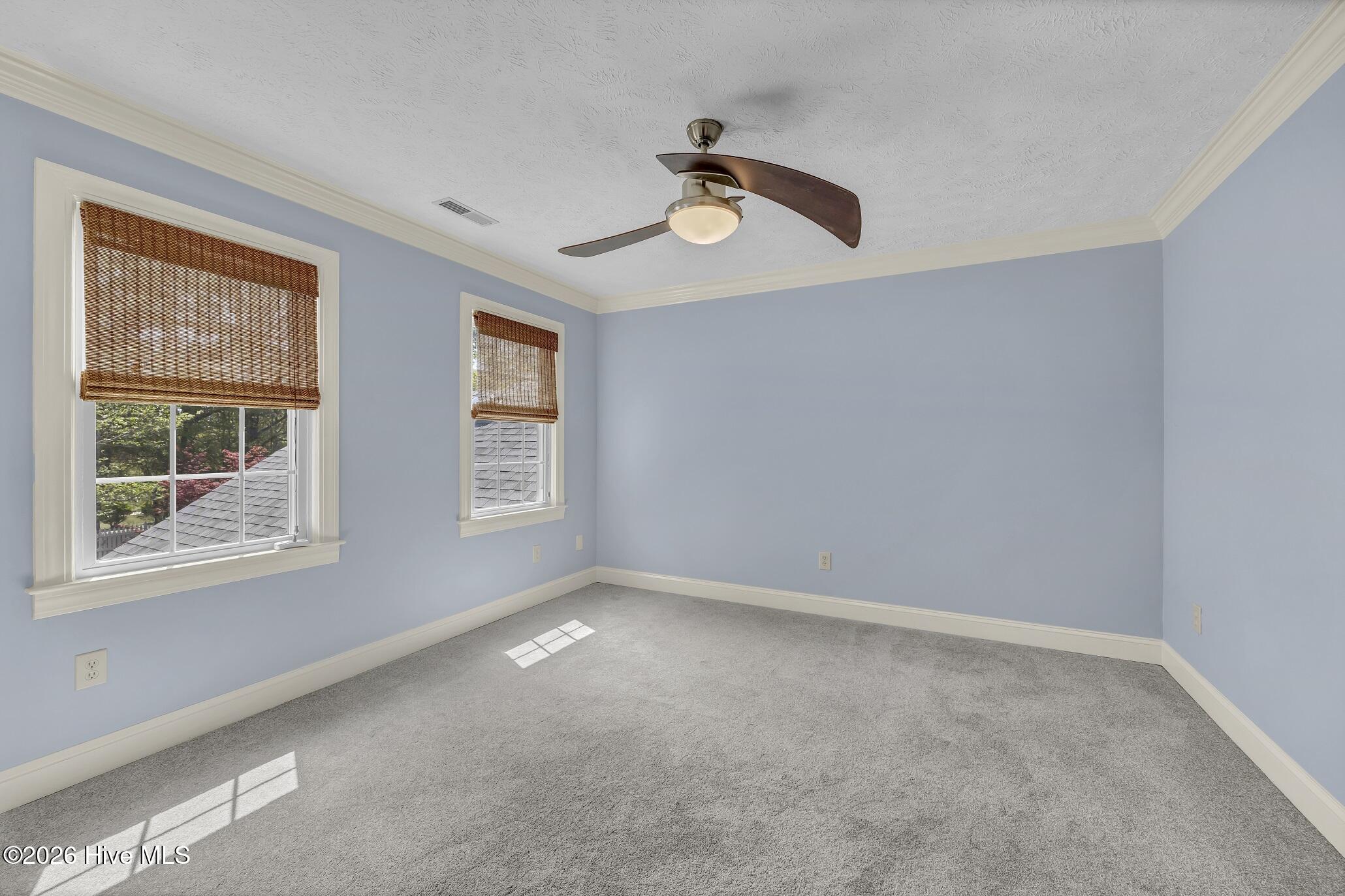 100565021 | Photo 19