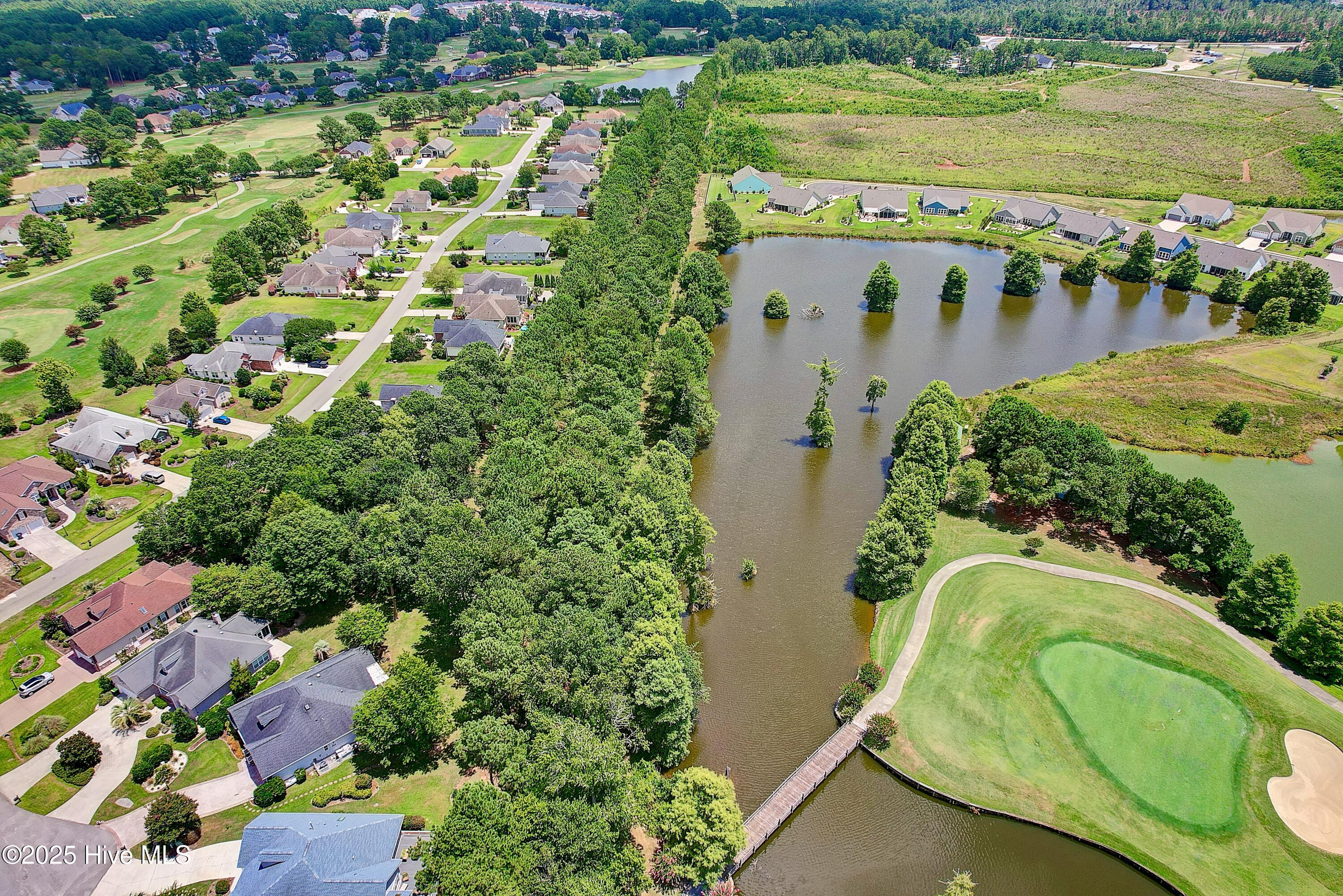 100545372 | Photo 54