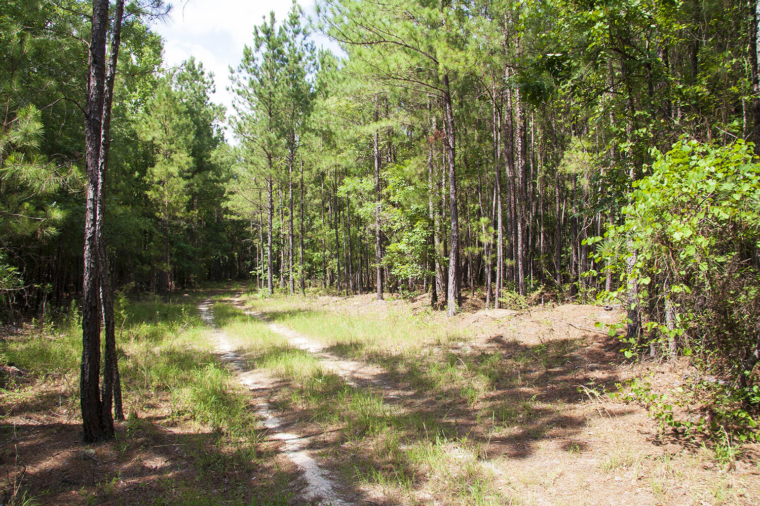 1515D HEPHZIBAH - MCBEAN Road, Hephzibah, GA, 30815