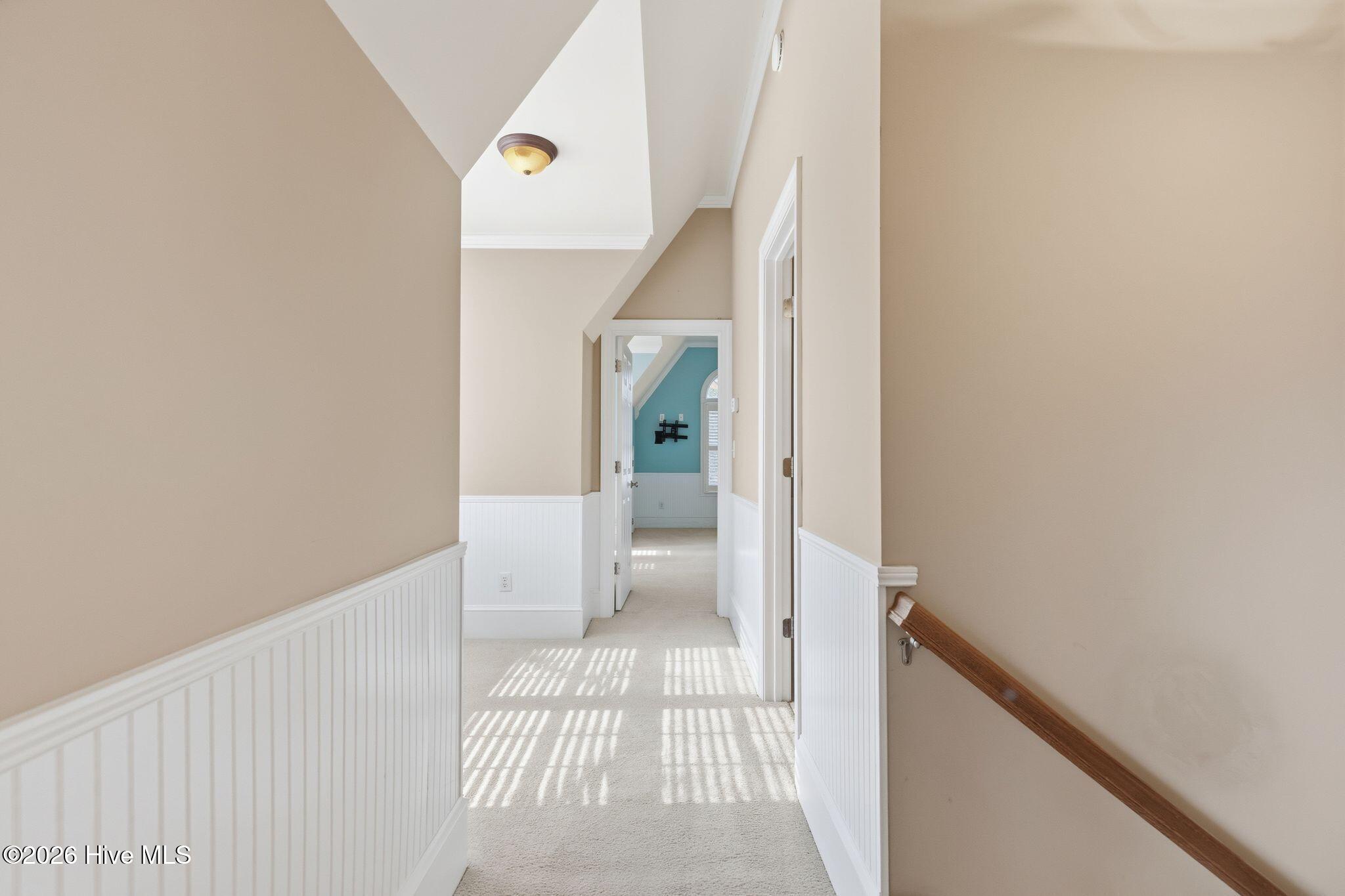 100565083 | Photo 47