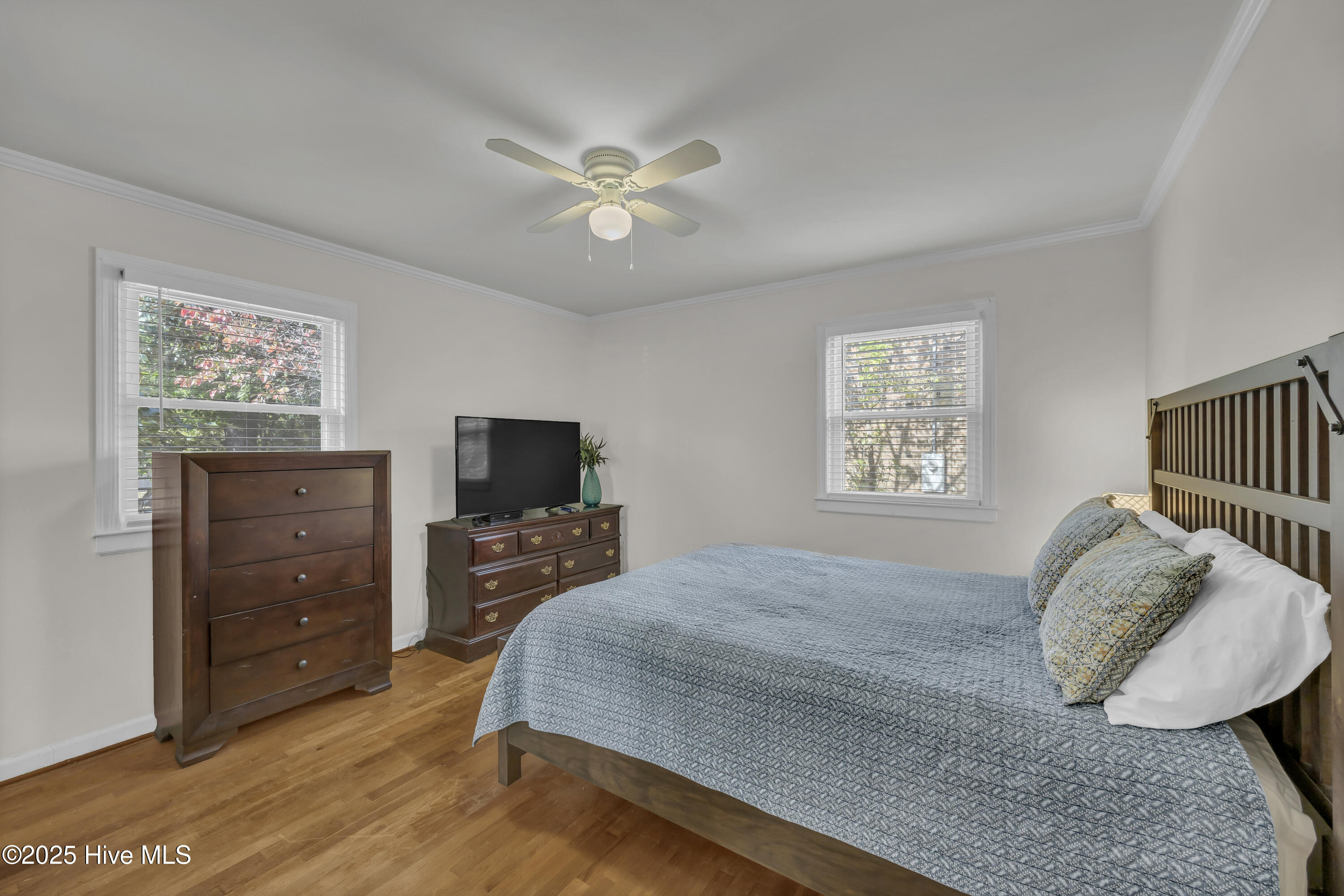 100541737 | Photo 18