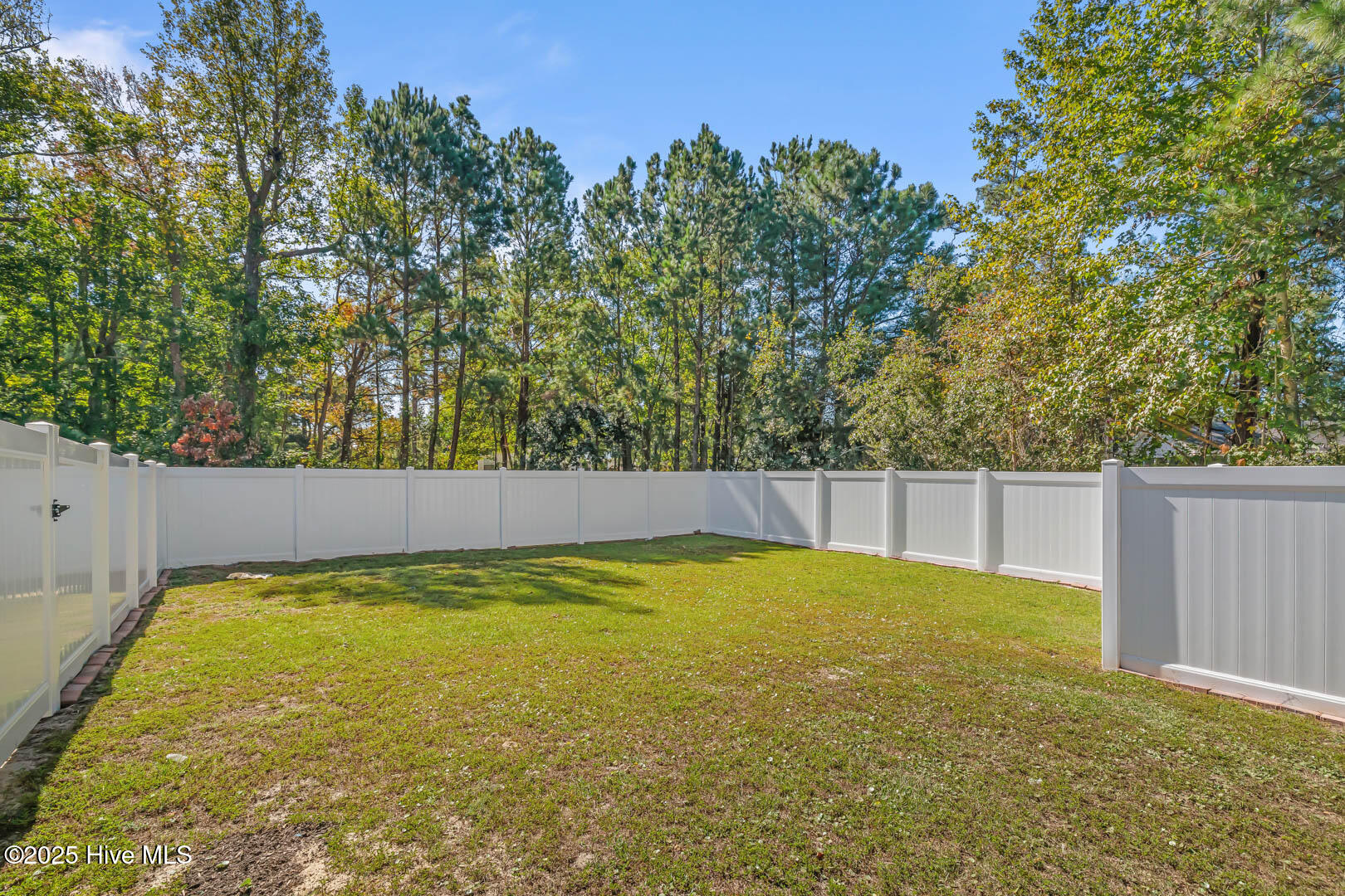 100535399 | Photo 43