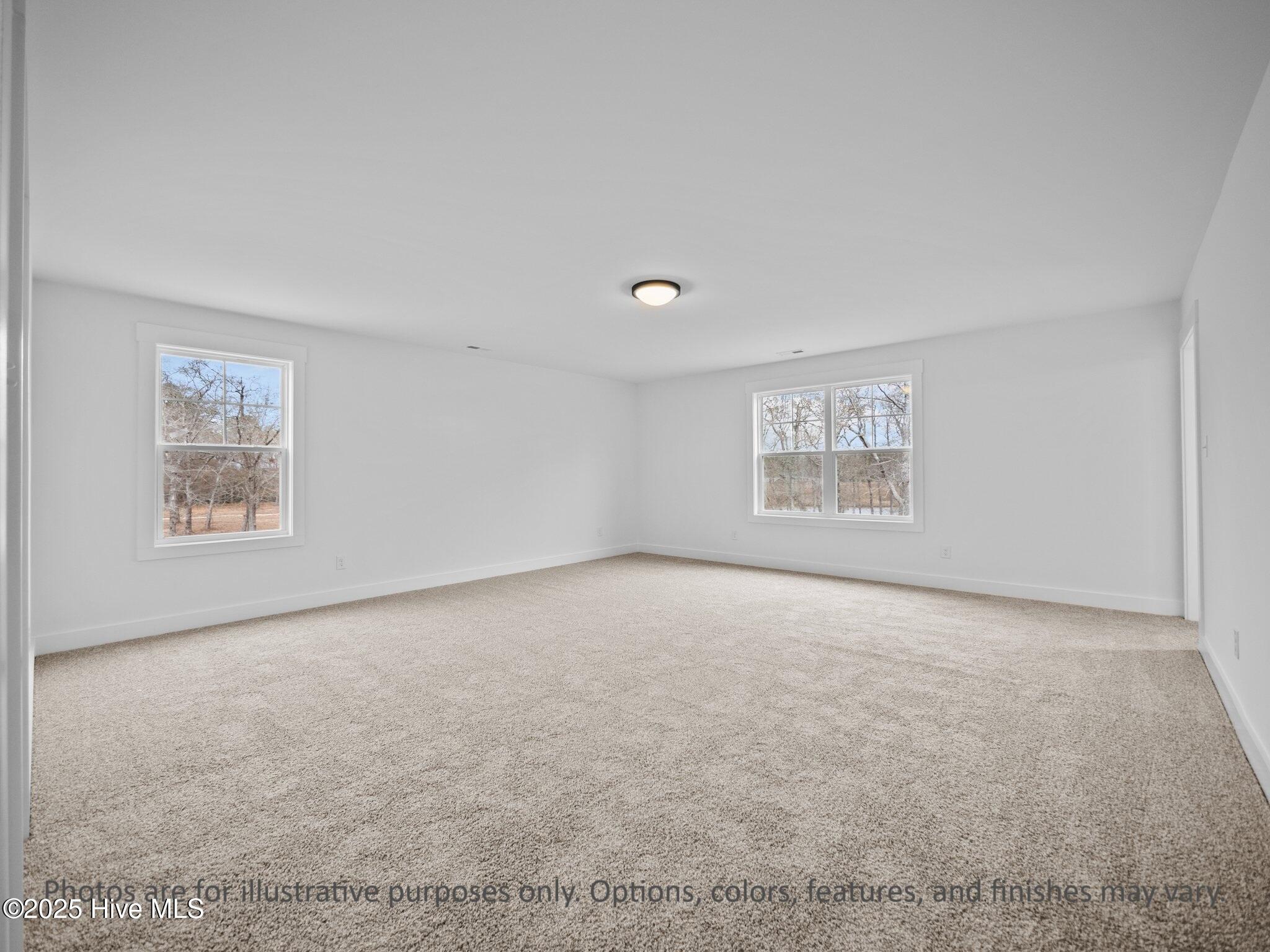 100536099 | Photo 41