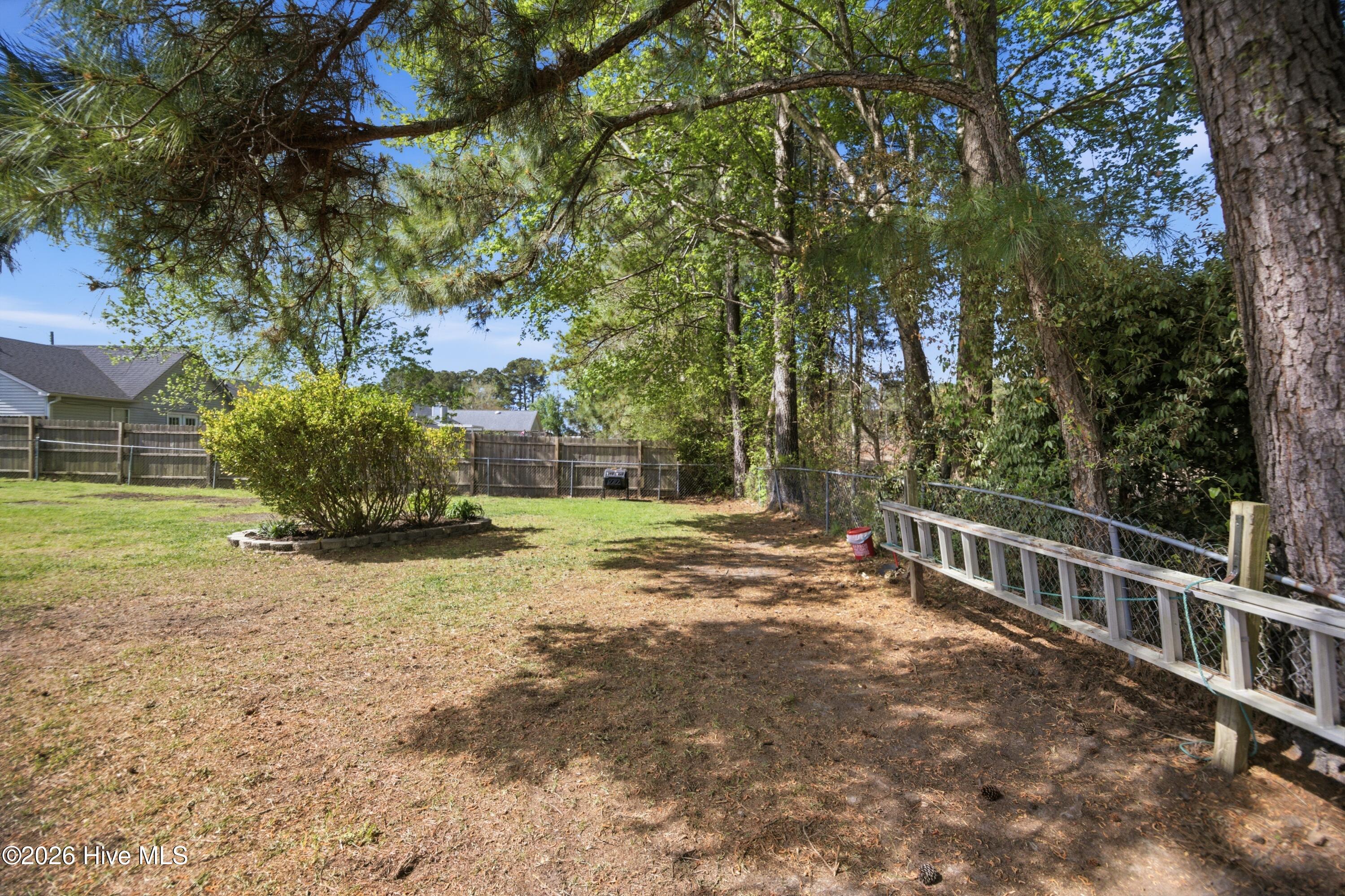 100565180 | Photo 34