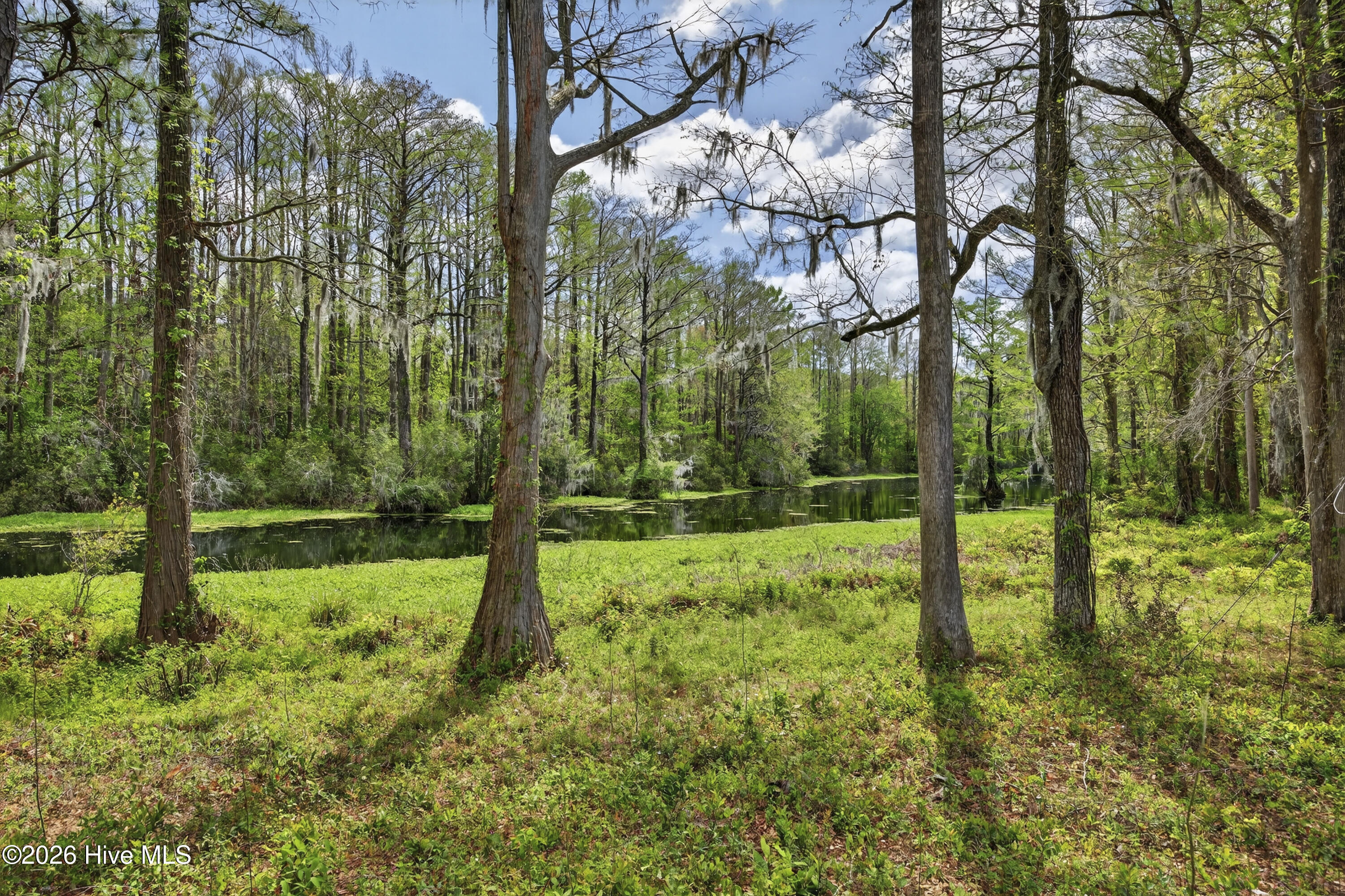 100564526 | Photo 51