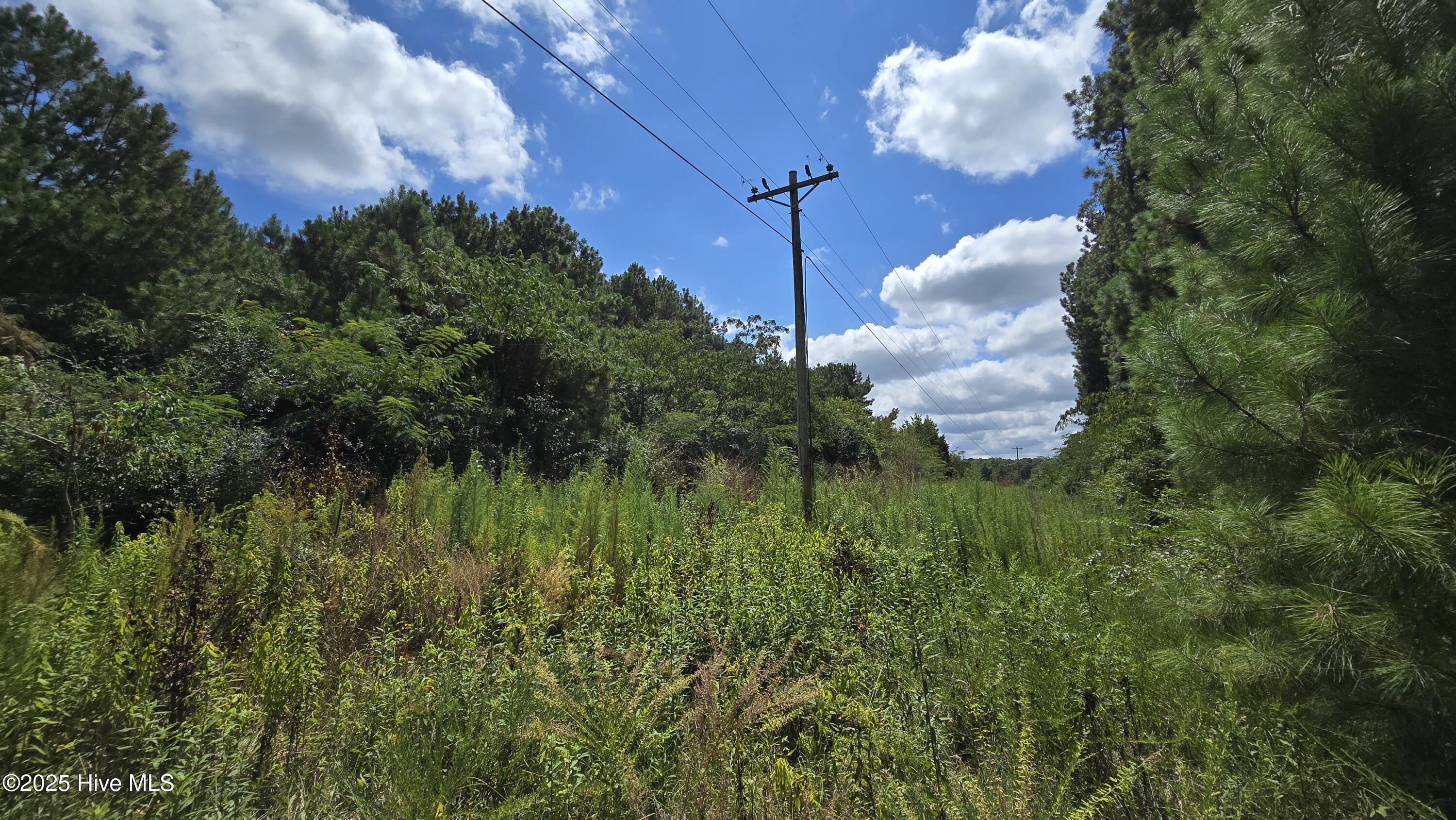 Homes for sale in Murfreesboro, NC | 00 Underwood Rd, Murfreesboro, NC 27855 | MLS# 100528565