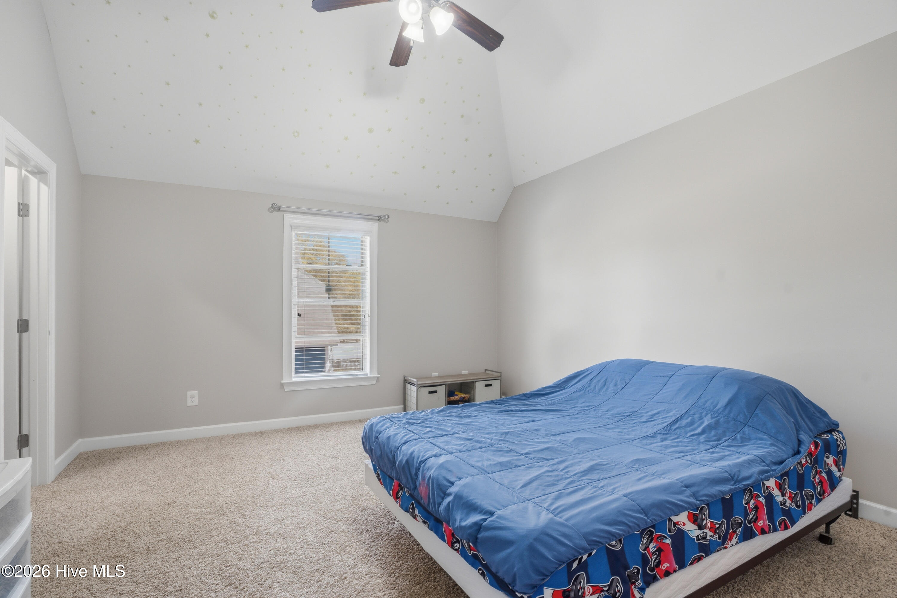 100564087 | Photo 35