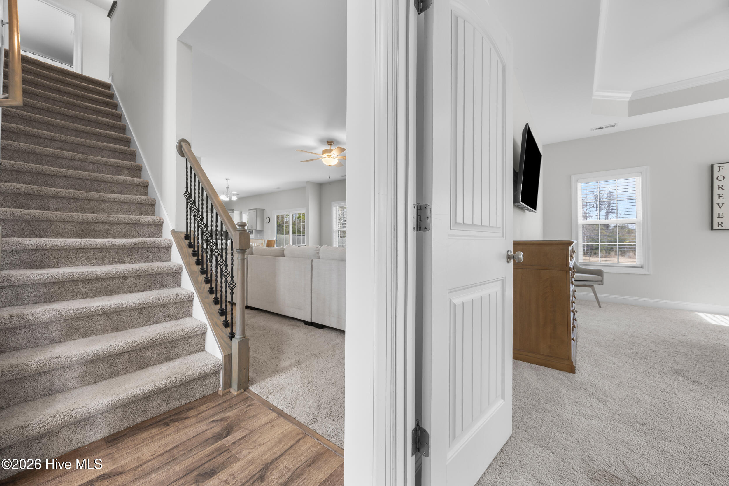 100559002 | Photo 16