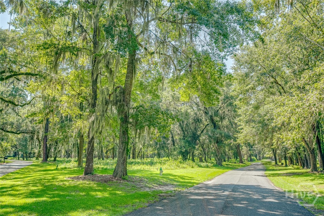 3rd image of 777 Silk Hope Dr, Richmond Hill, GA 31324 | MLS# SA363428