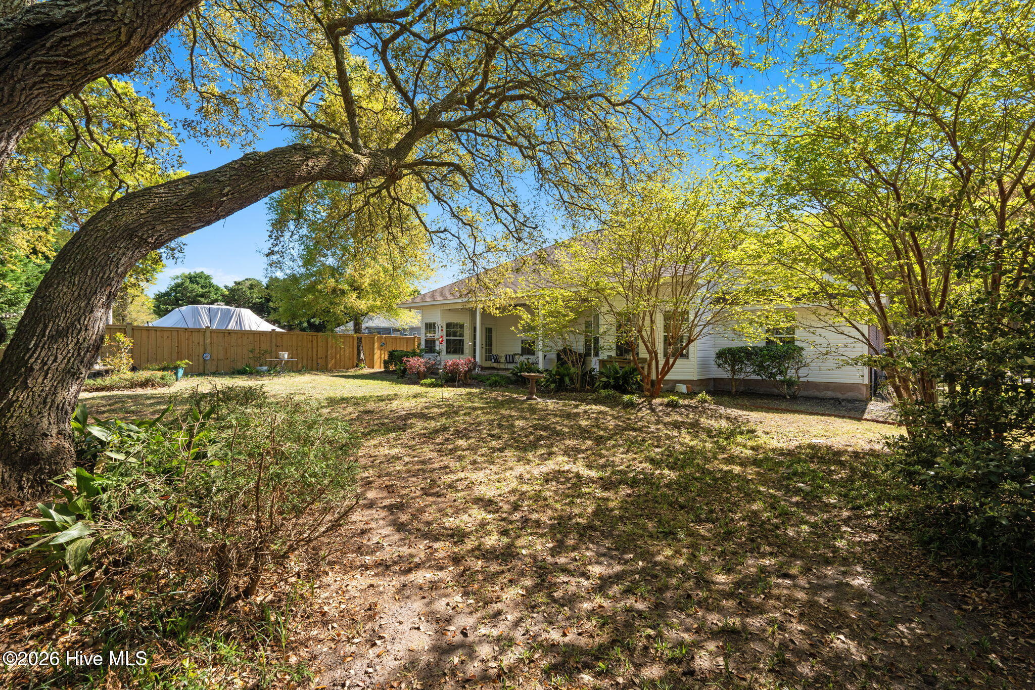 100567853 | Photo 41