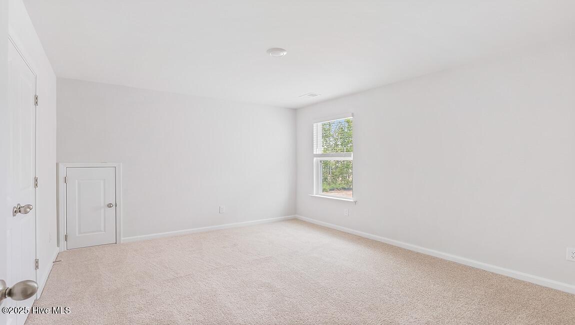 1054 Pampas Grass Drive Lot 335, Castle Hayne, NC 28429 – photo 19: Similar Home
