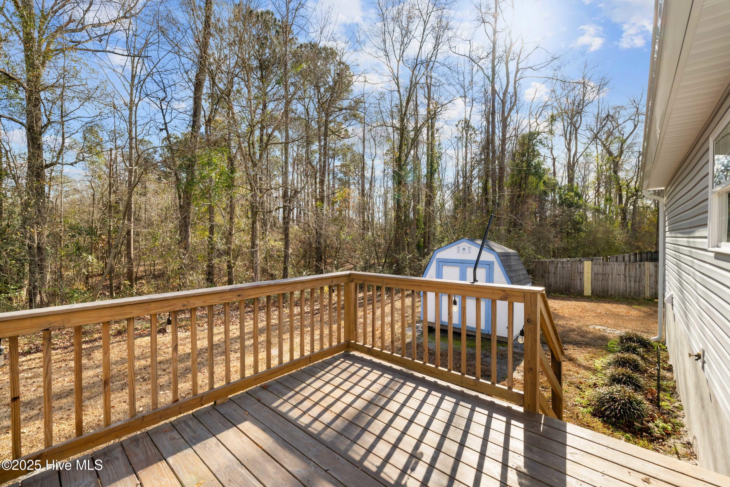 100568502 | Photo 36