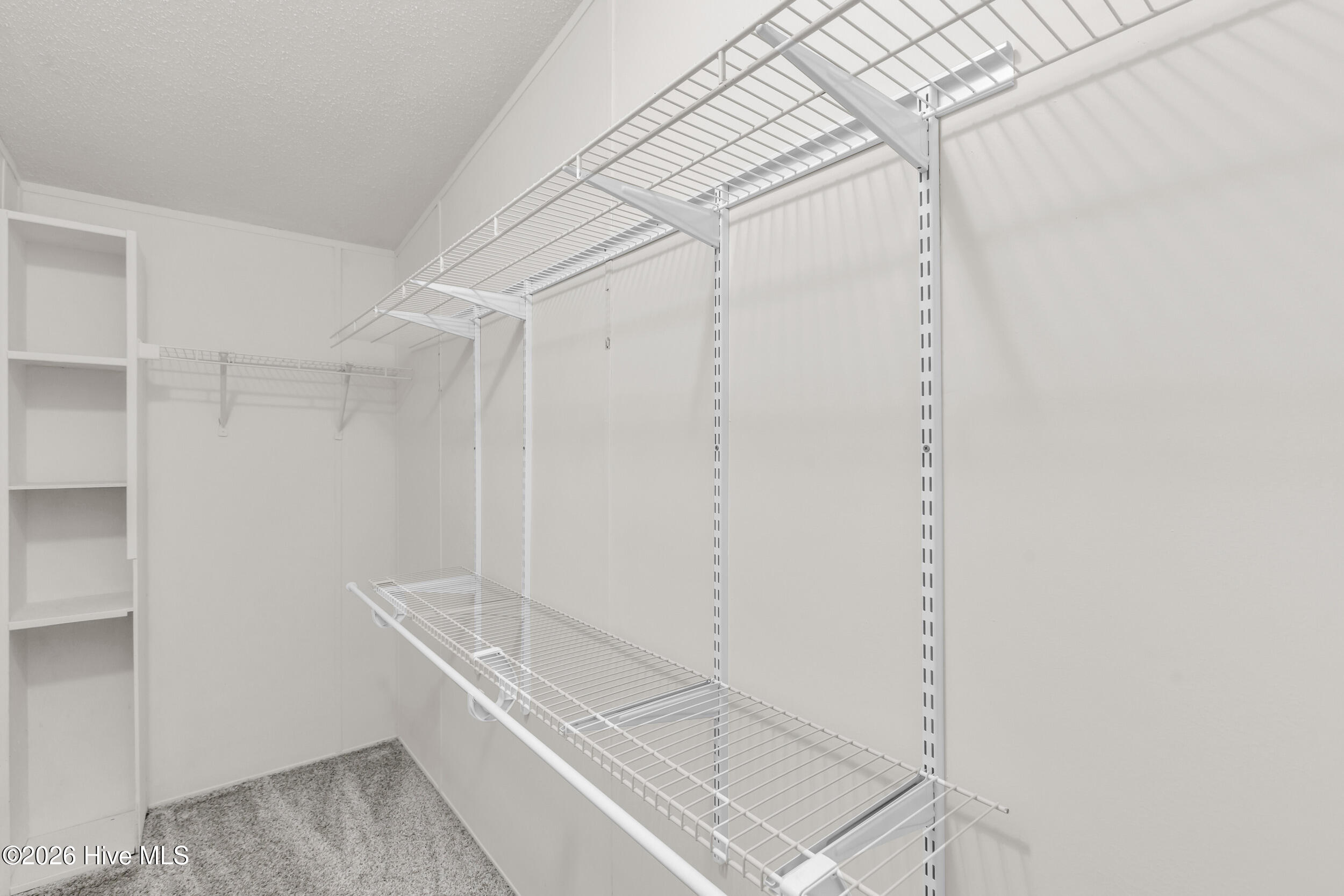 100550354 | Photo 19