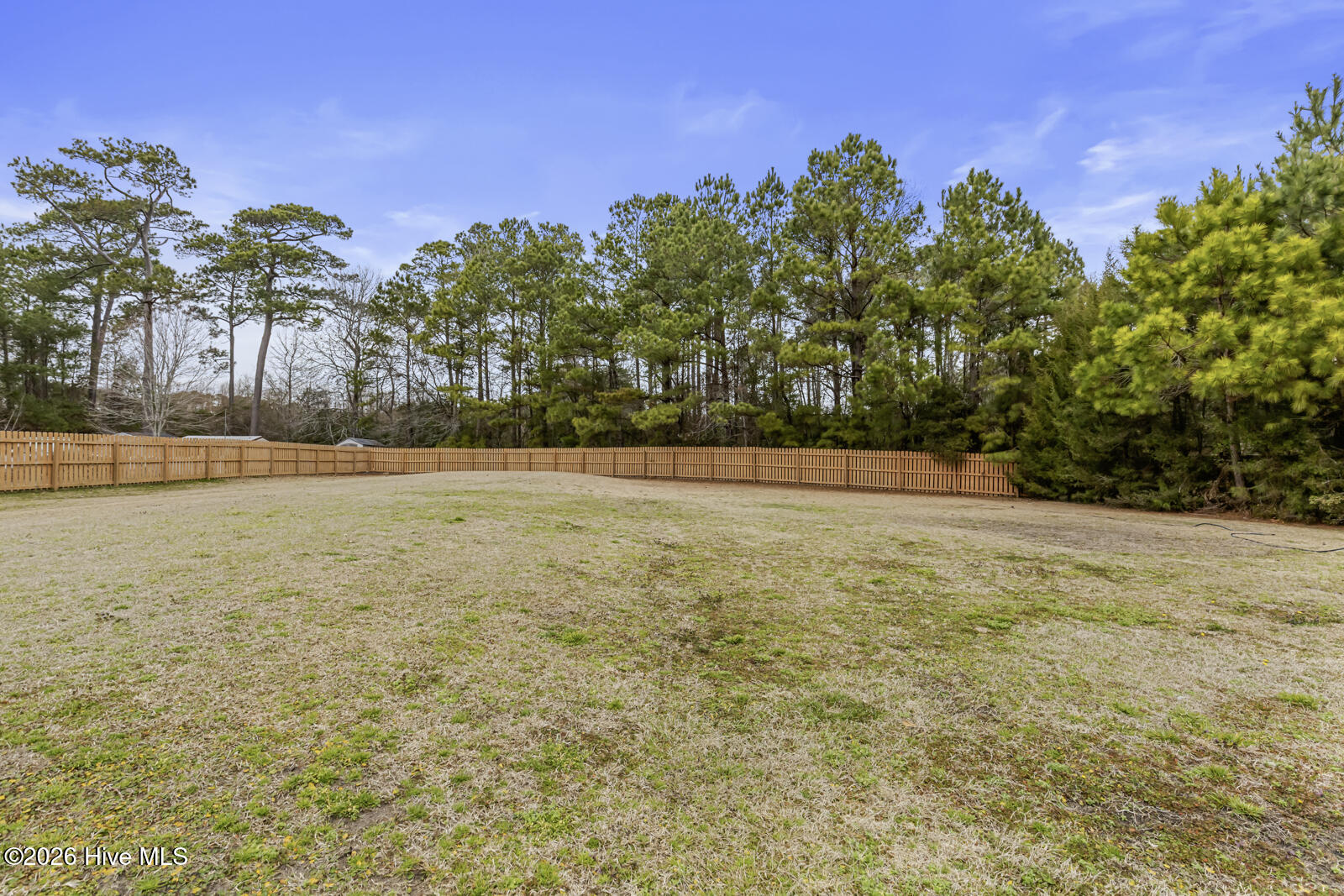 100556050 | Photo 36