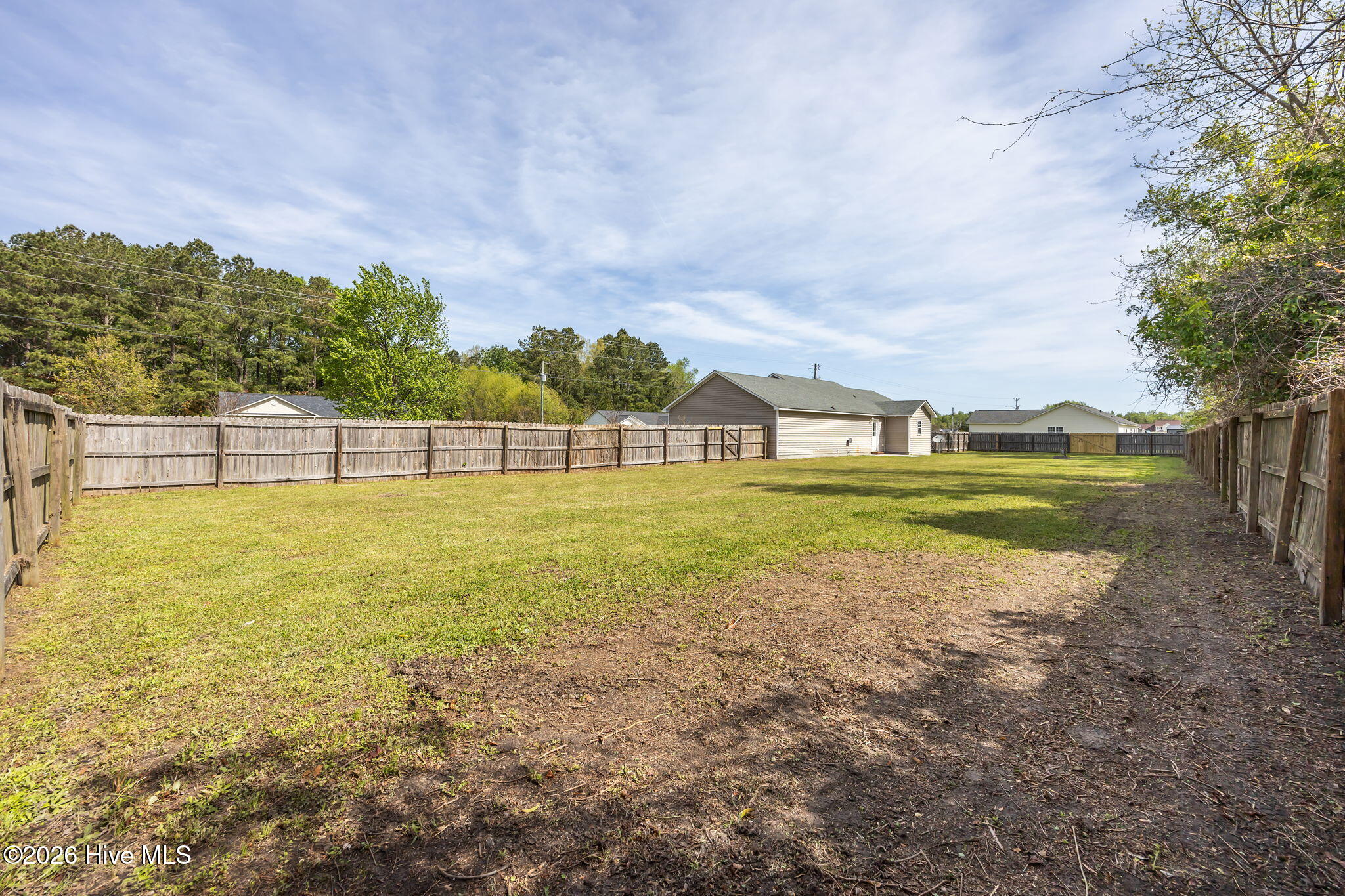 100565884 | Photo 31