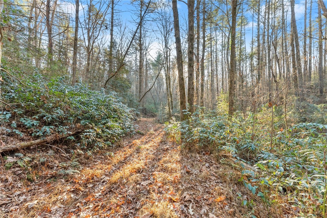 Shoal Creek Tract Habersham County