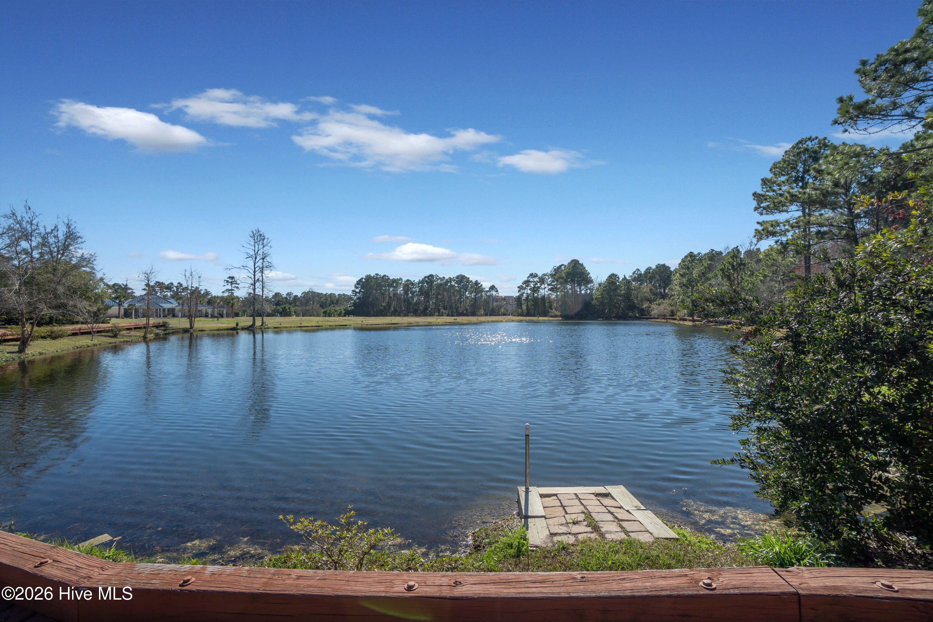 100567297 | Photo 53