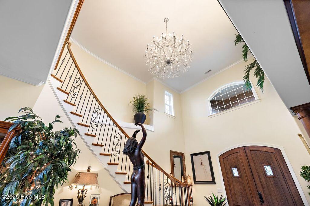 100534476 | Photo 10