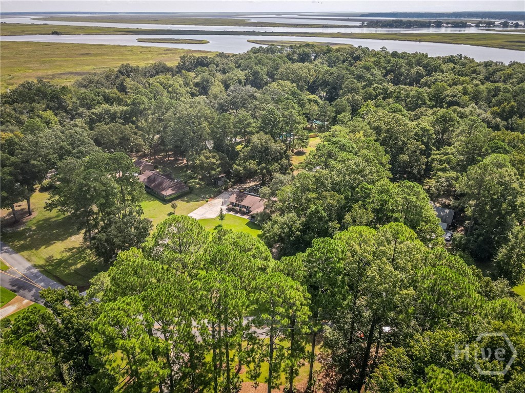 53rd image of 63 Ml Run Rd, Richmond Hill, GA 31324 | MLS# SA363519