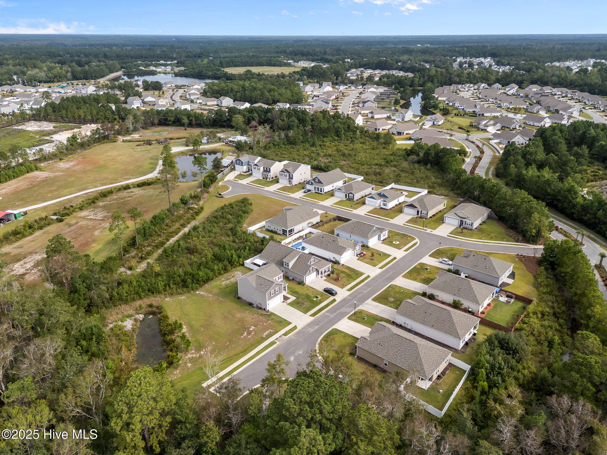 100526308 | Photo 38