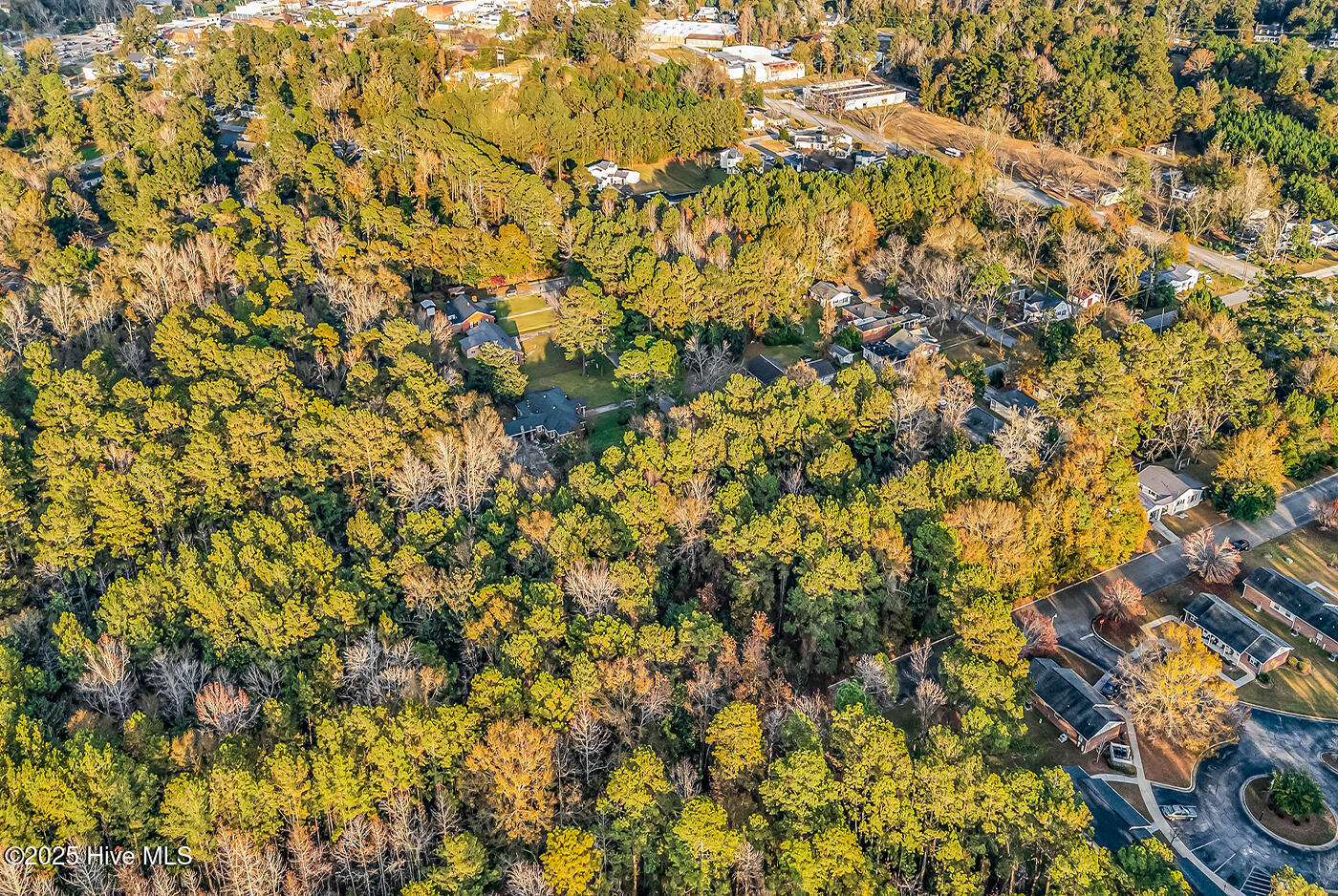 100542814 | Photo 10