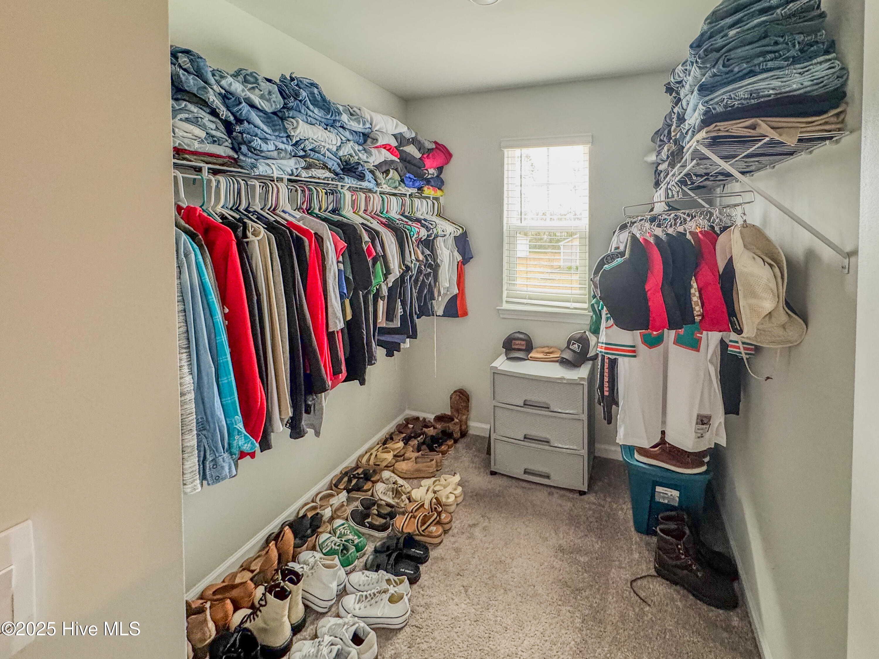 100542508 | Photo 16