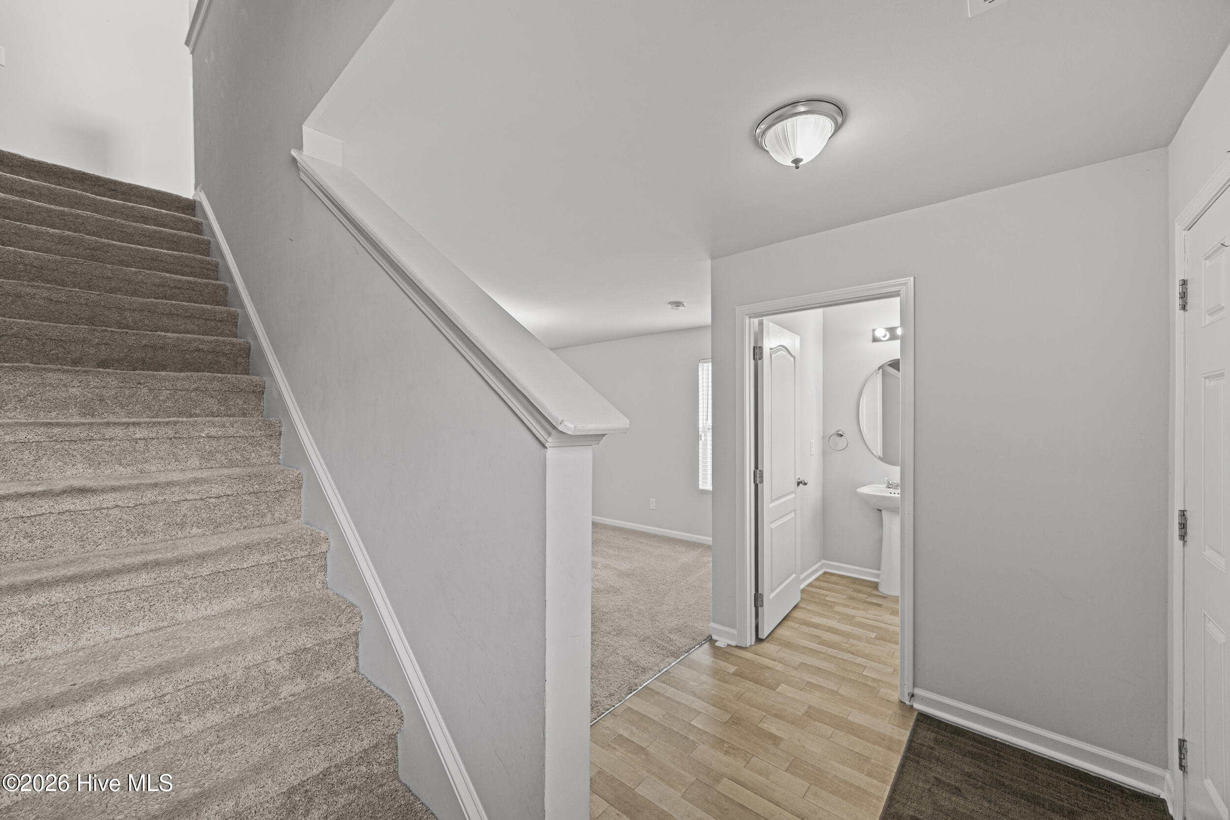 100557017 | Photo 19