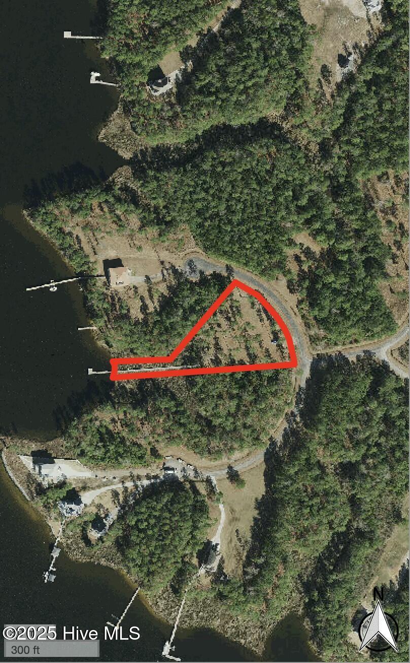 Lot #55 GIS Satellite Image