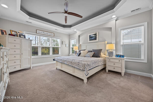 100557247 | Photo 16