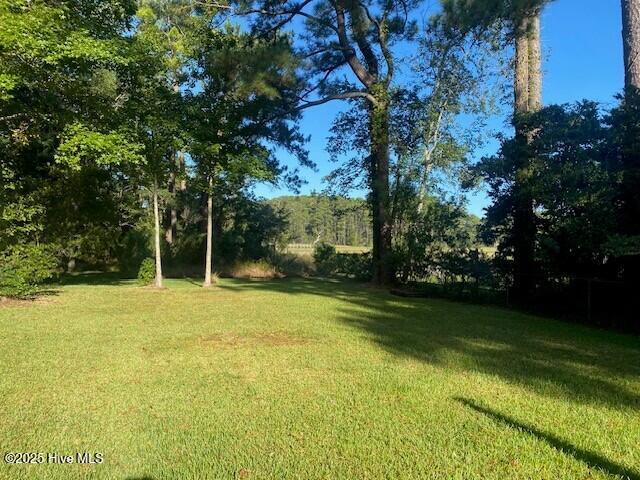 100529841 | Photo 17