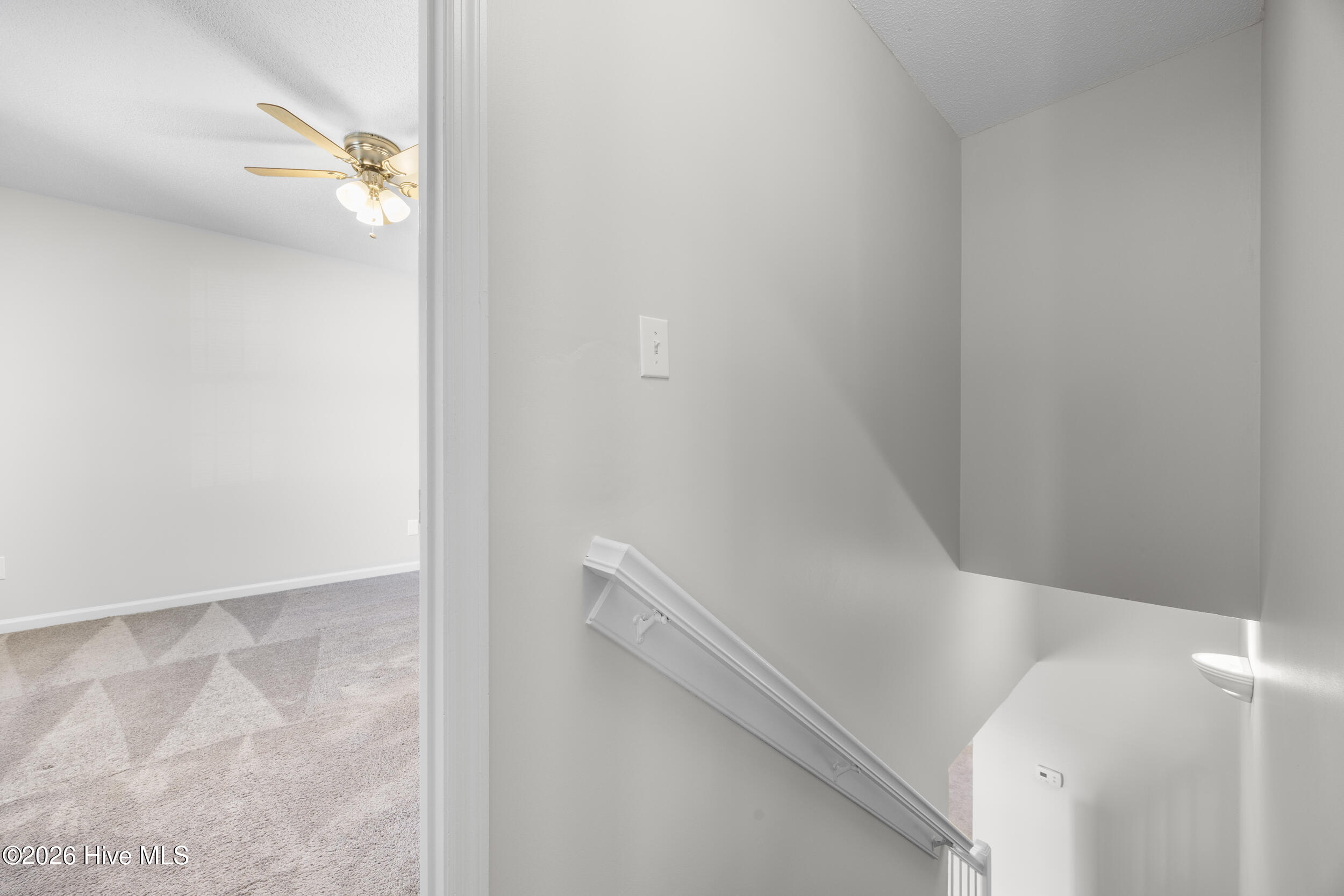 100561186 | Photo 26